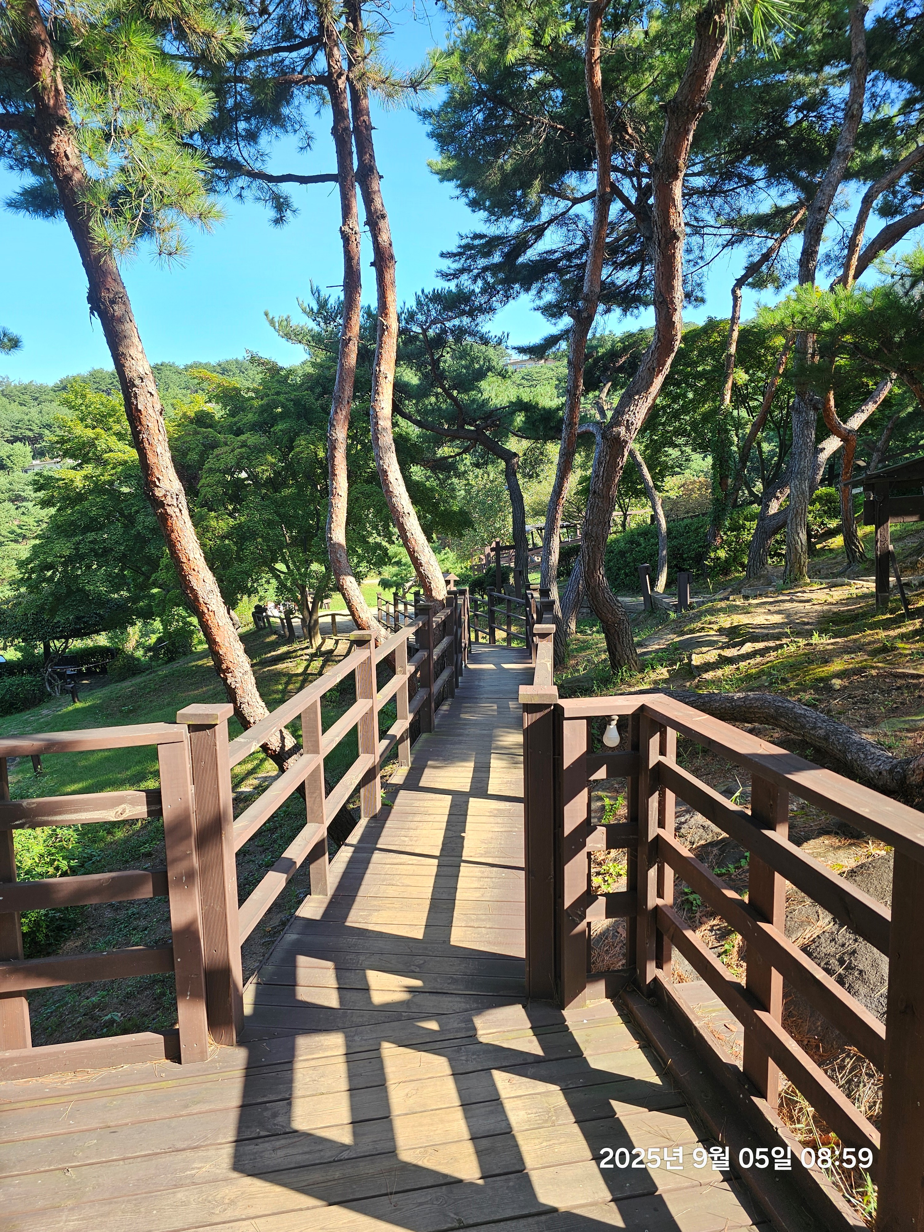 아웃오프 글램핑 추가 이미지
