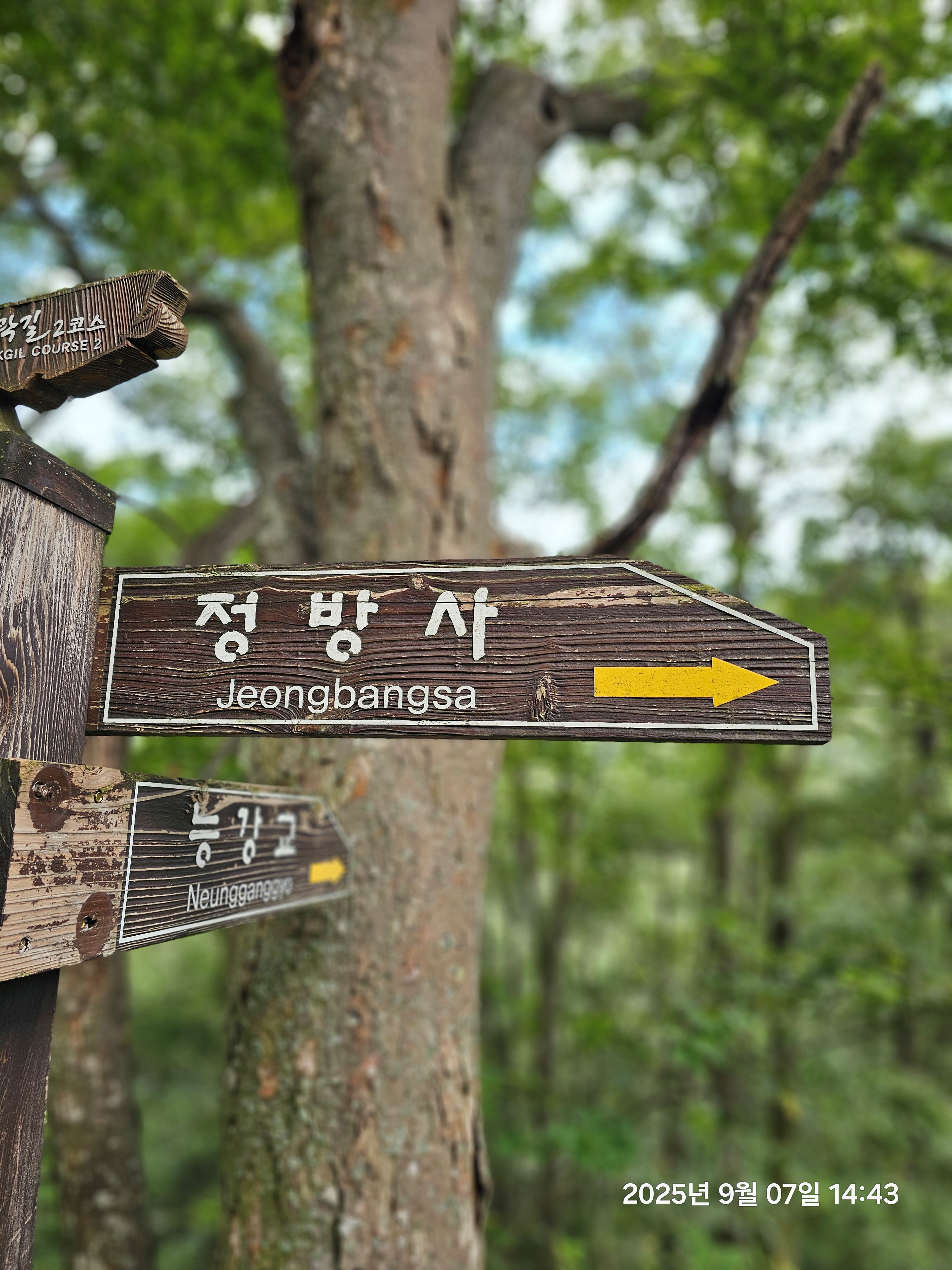 아웃오프 글램핑 추가 이미지