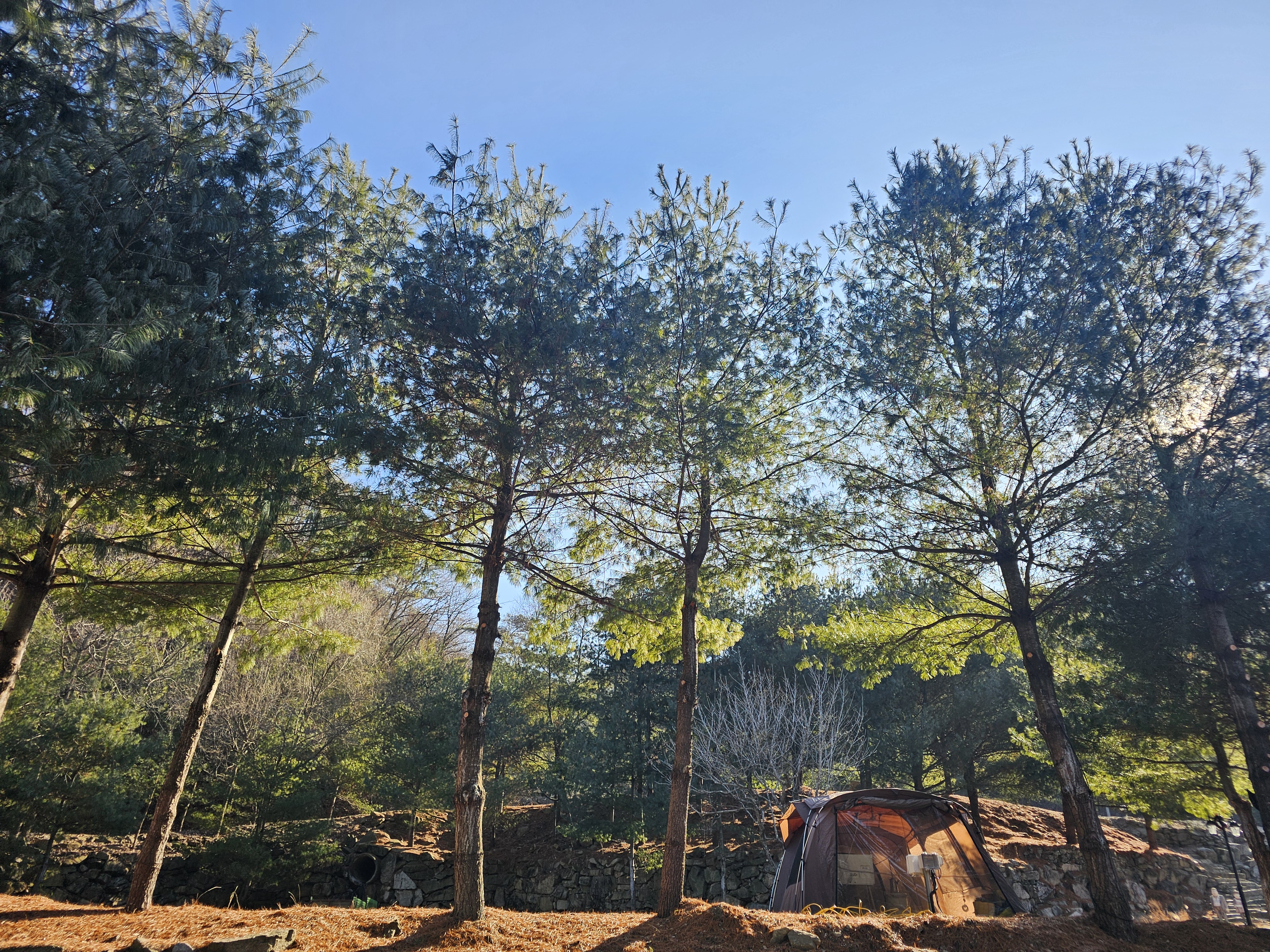 (에드203) 플라네캠핑장
