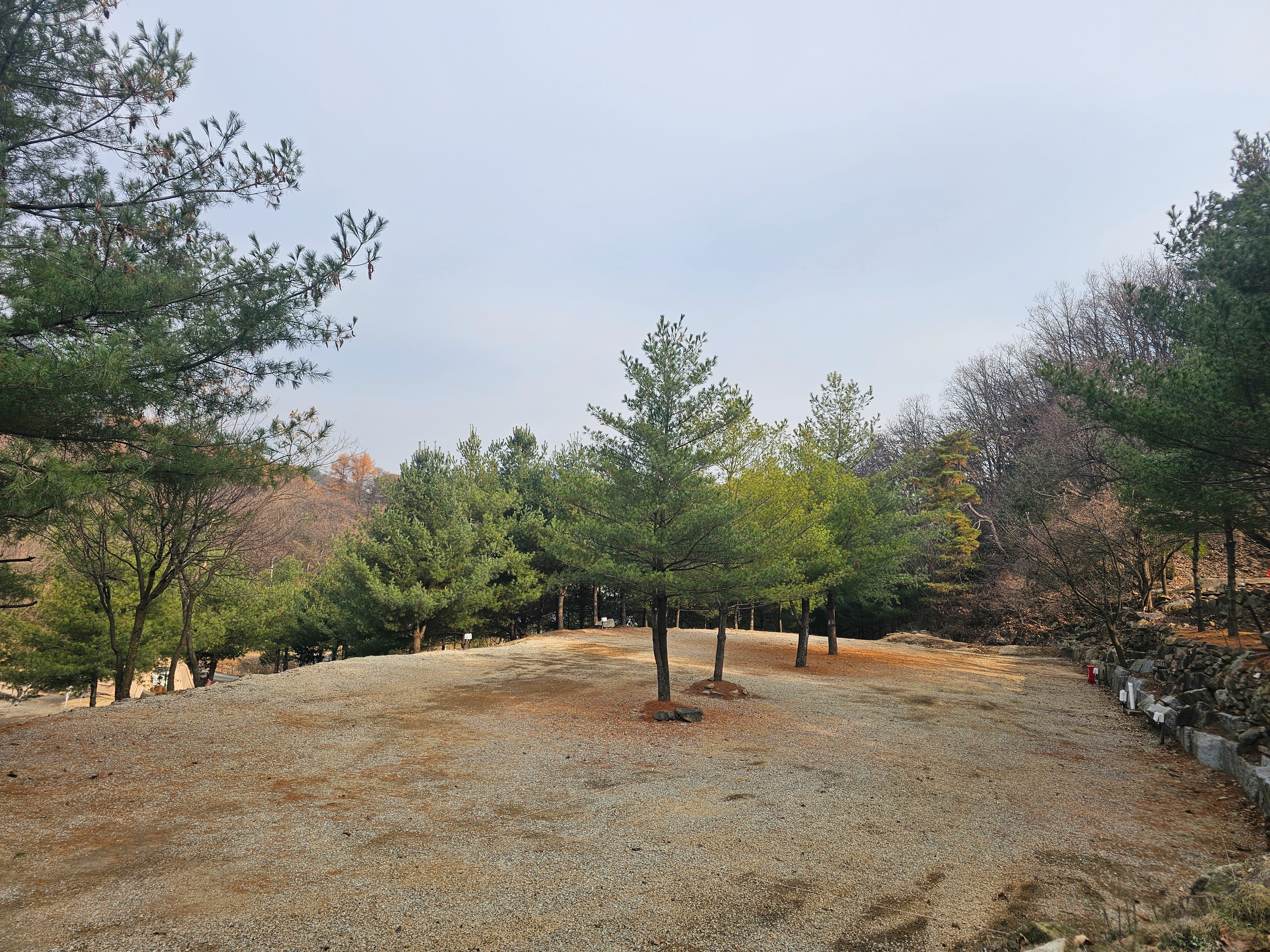 (에드203) 플라네캠핑장 8번째 이미지