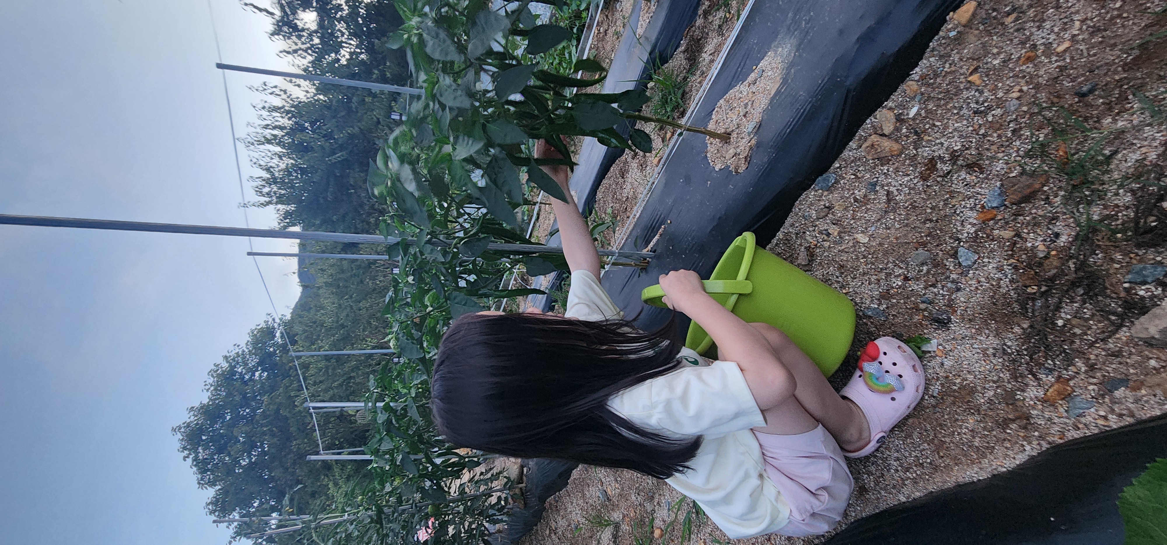 수안보 동그라미 캠핑장 사진 15