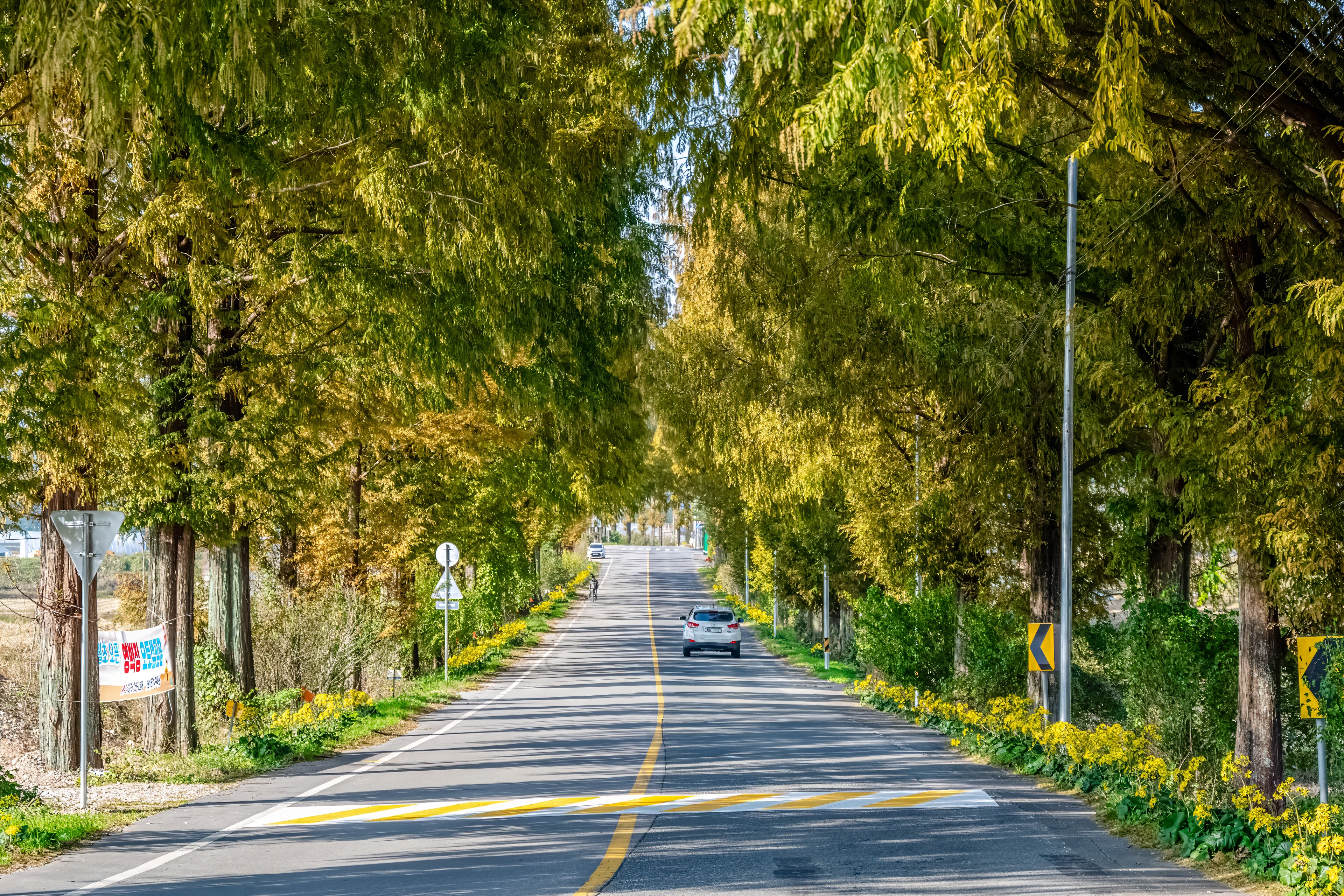 영벽정오토캠핑장 9번째 이미지