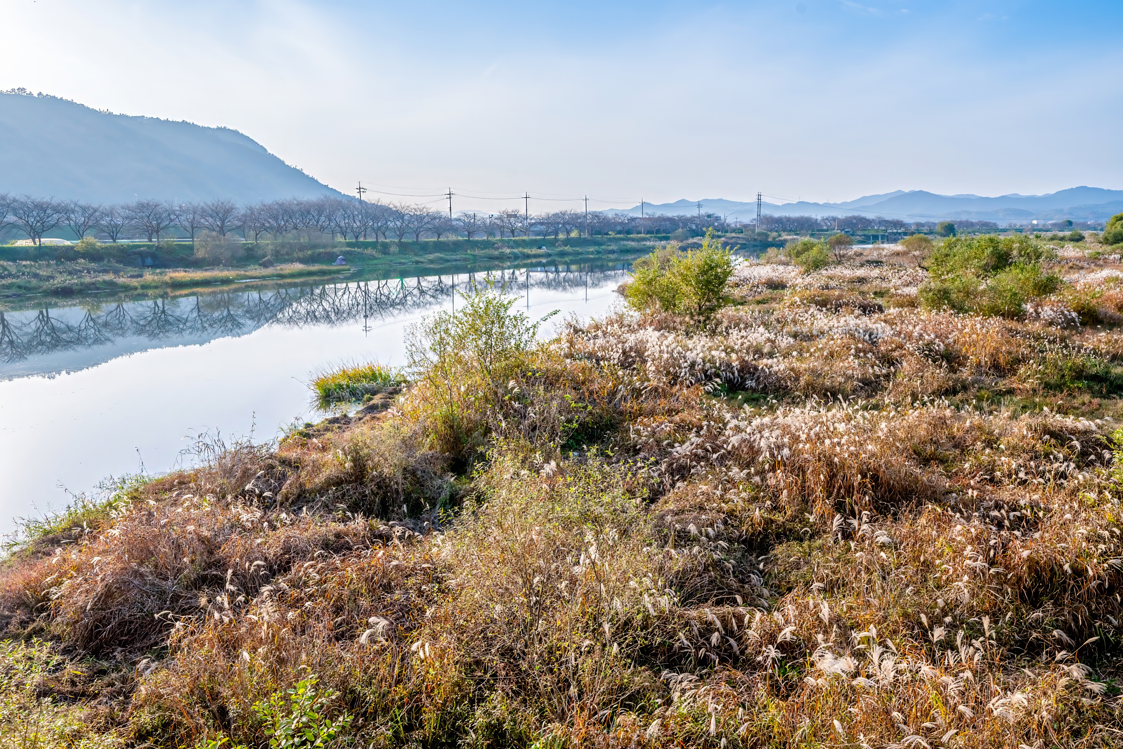영벽정오토캠핑장 10번째 이미지