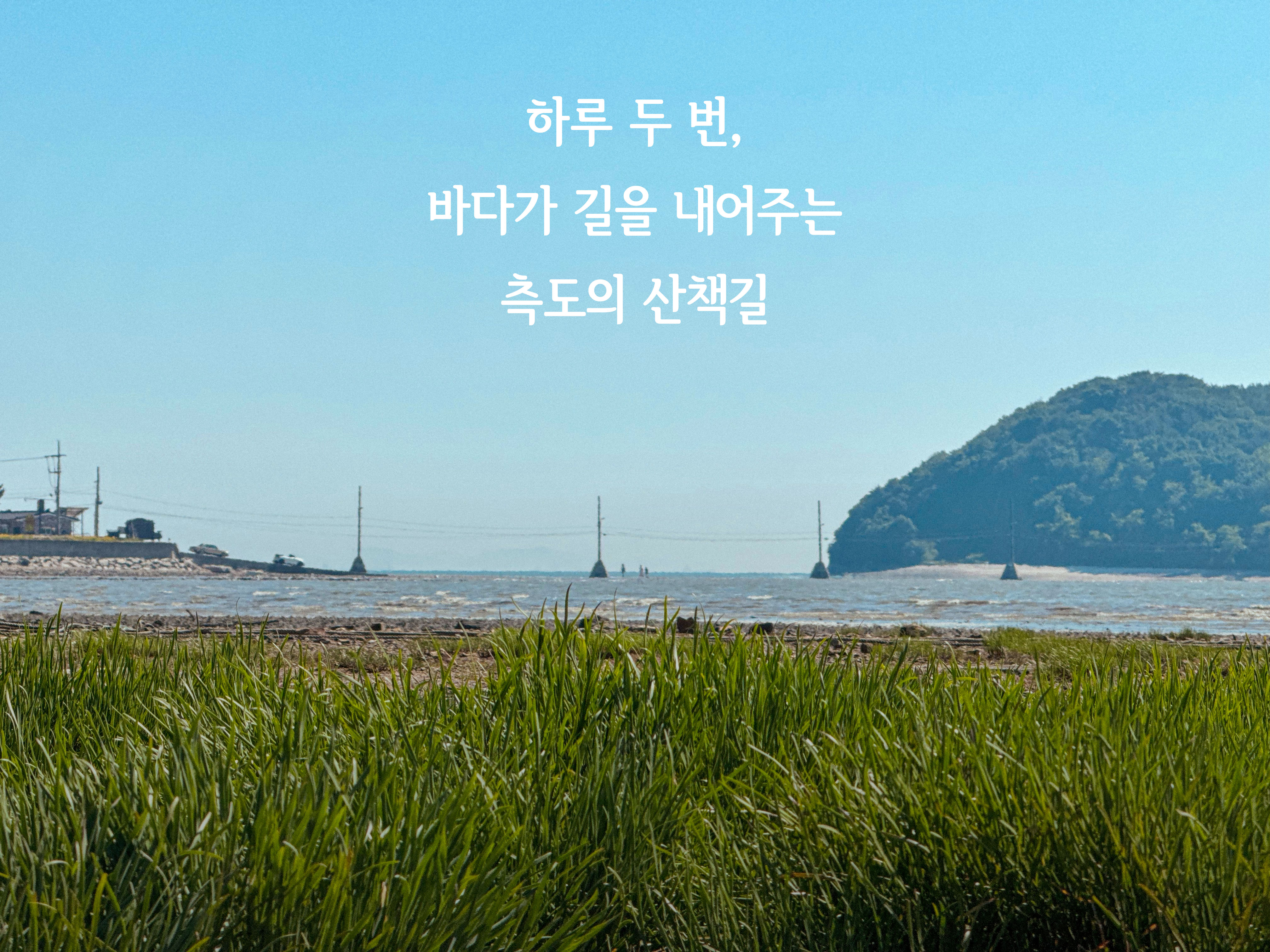 뻘마당캠핑장 추가 이미지