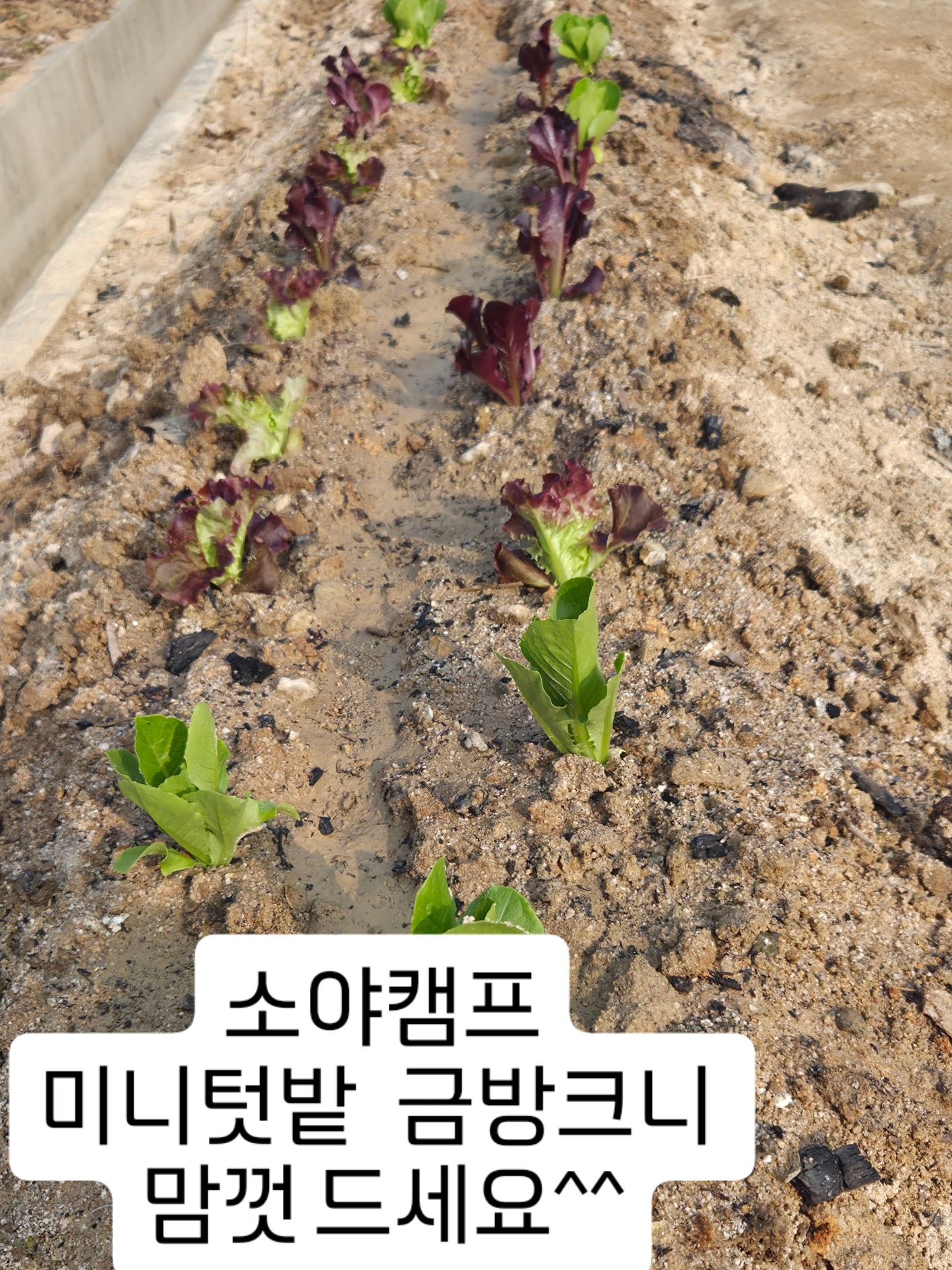 소야캠프 9번째 이미지