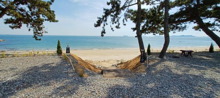 ⛺ [충청남도 보령시] 원산도 바다 캠핑장 캠핑장 완벽 정보 (일반야영장)