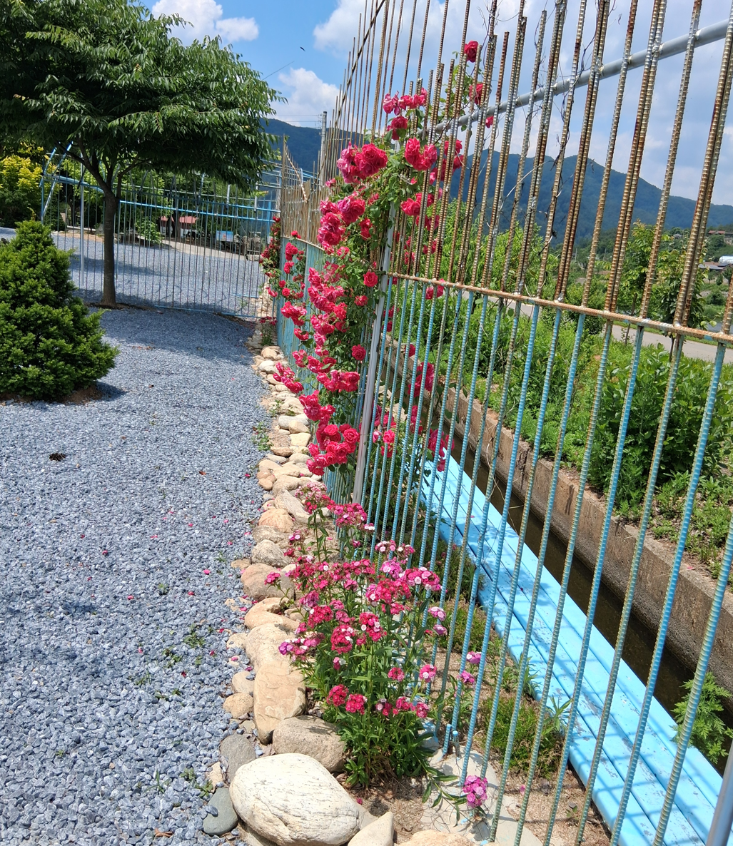 신선오토캠핑장