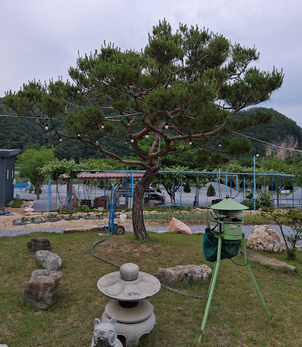신선오토캠핑장