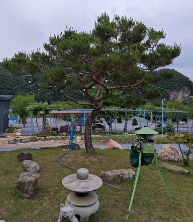 캠핑장소개 이미지