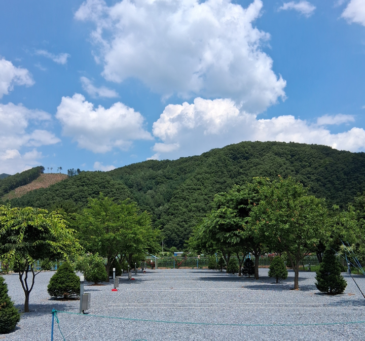 신선오토캠핑장