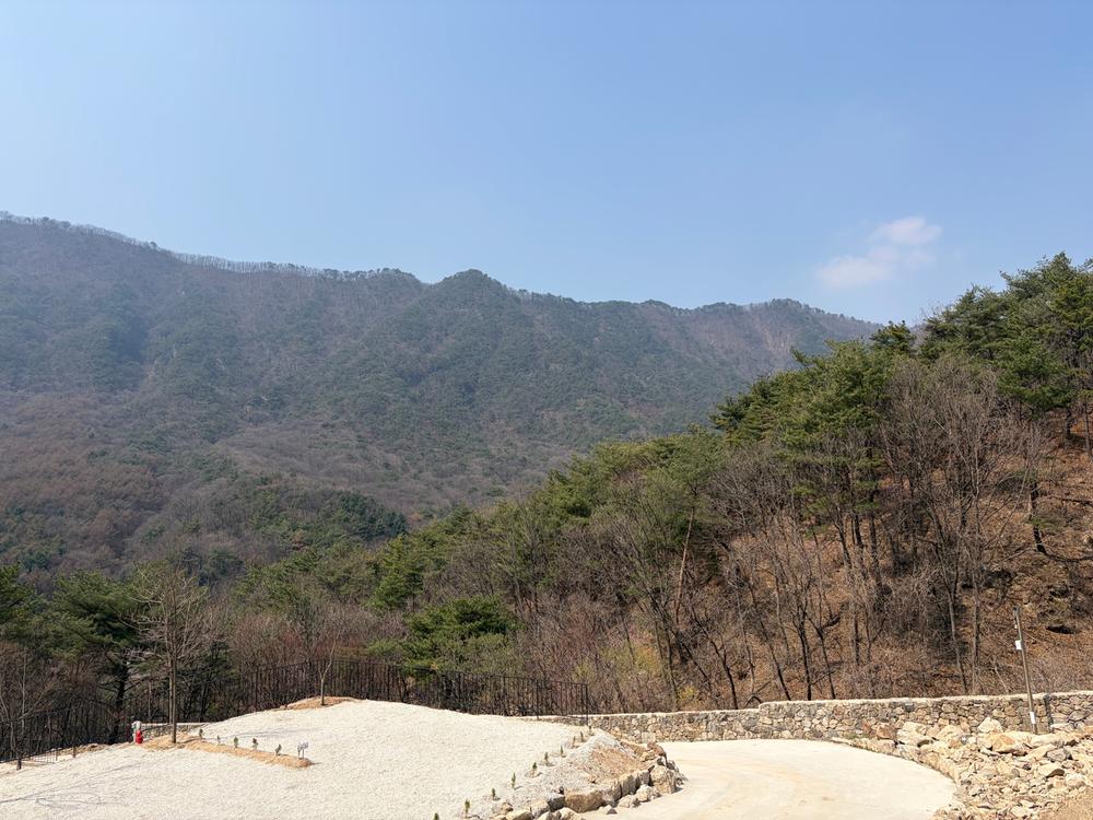캠프 몽림