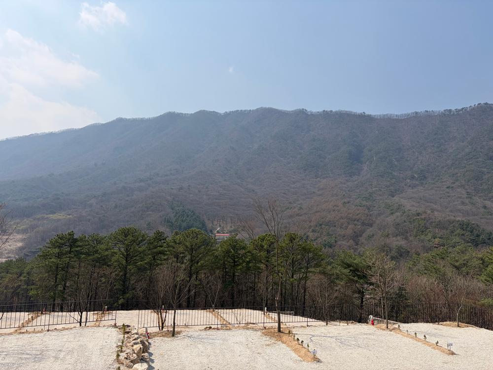 캠프 몽림