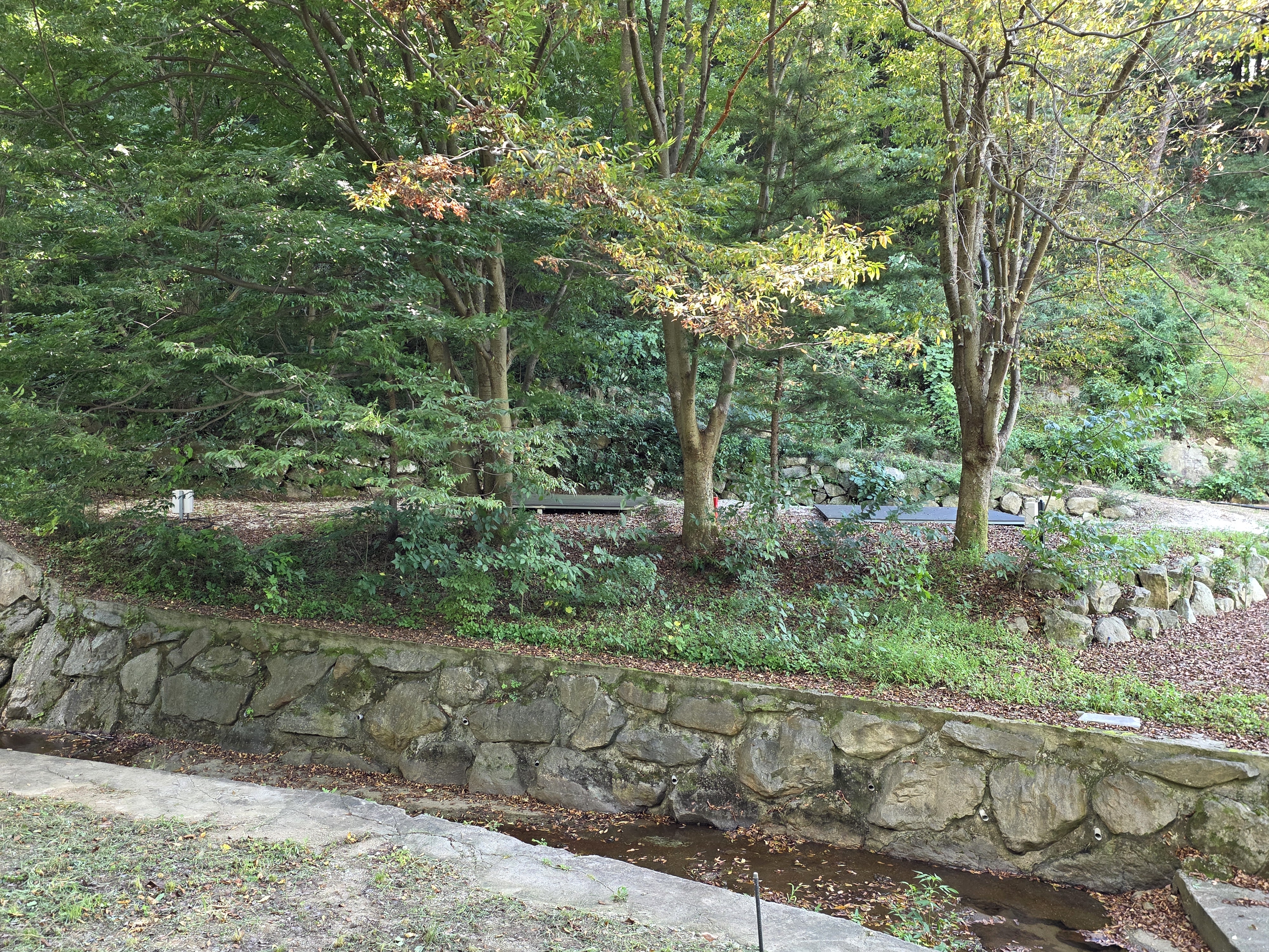 논배동산