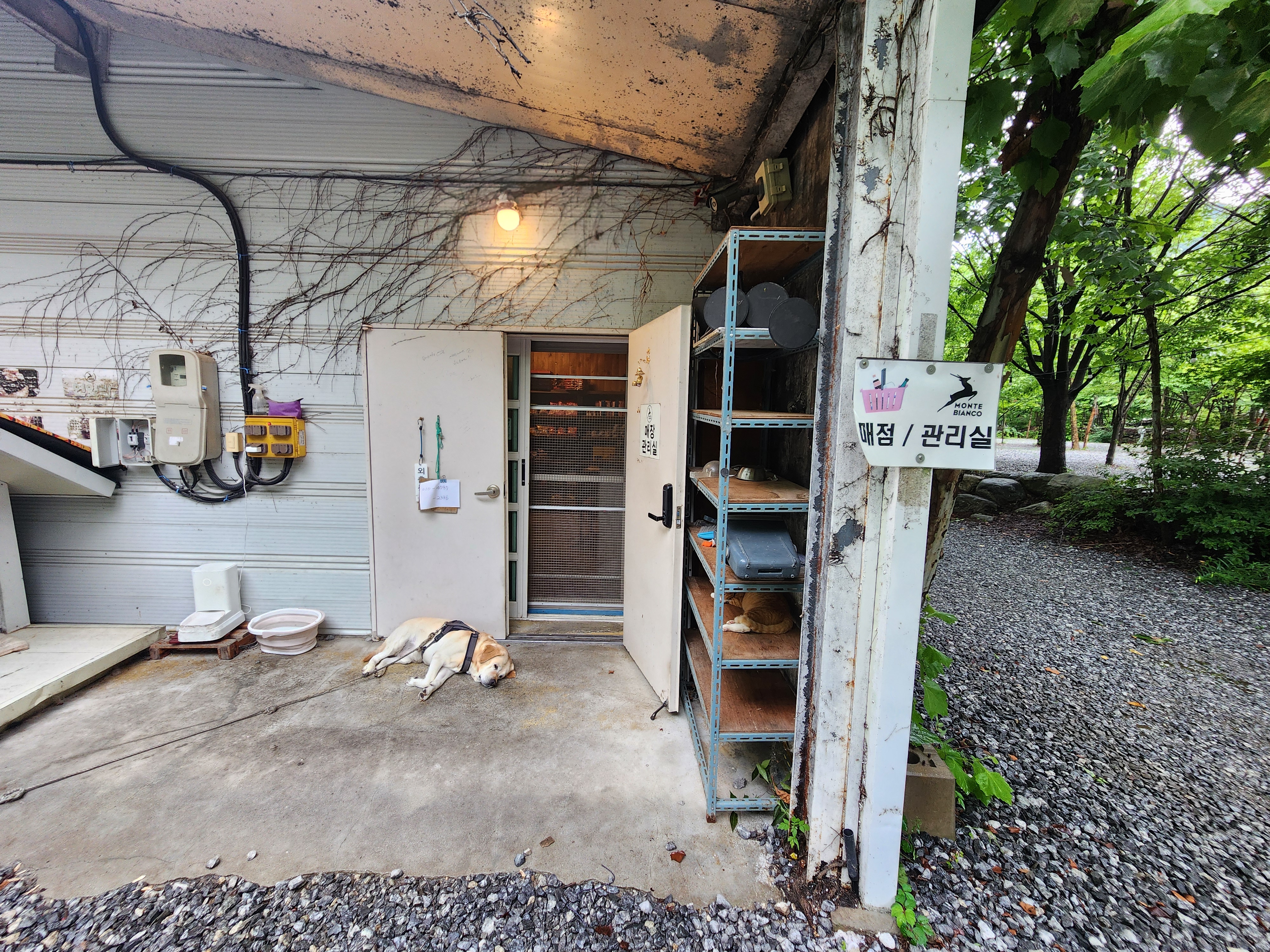 몬테비얀코 15번째 이미지