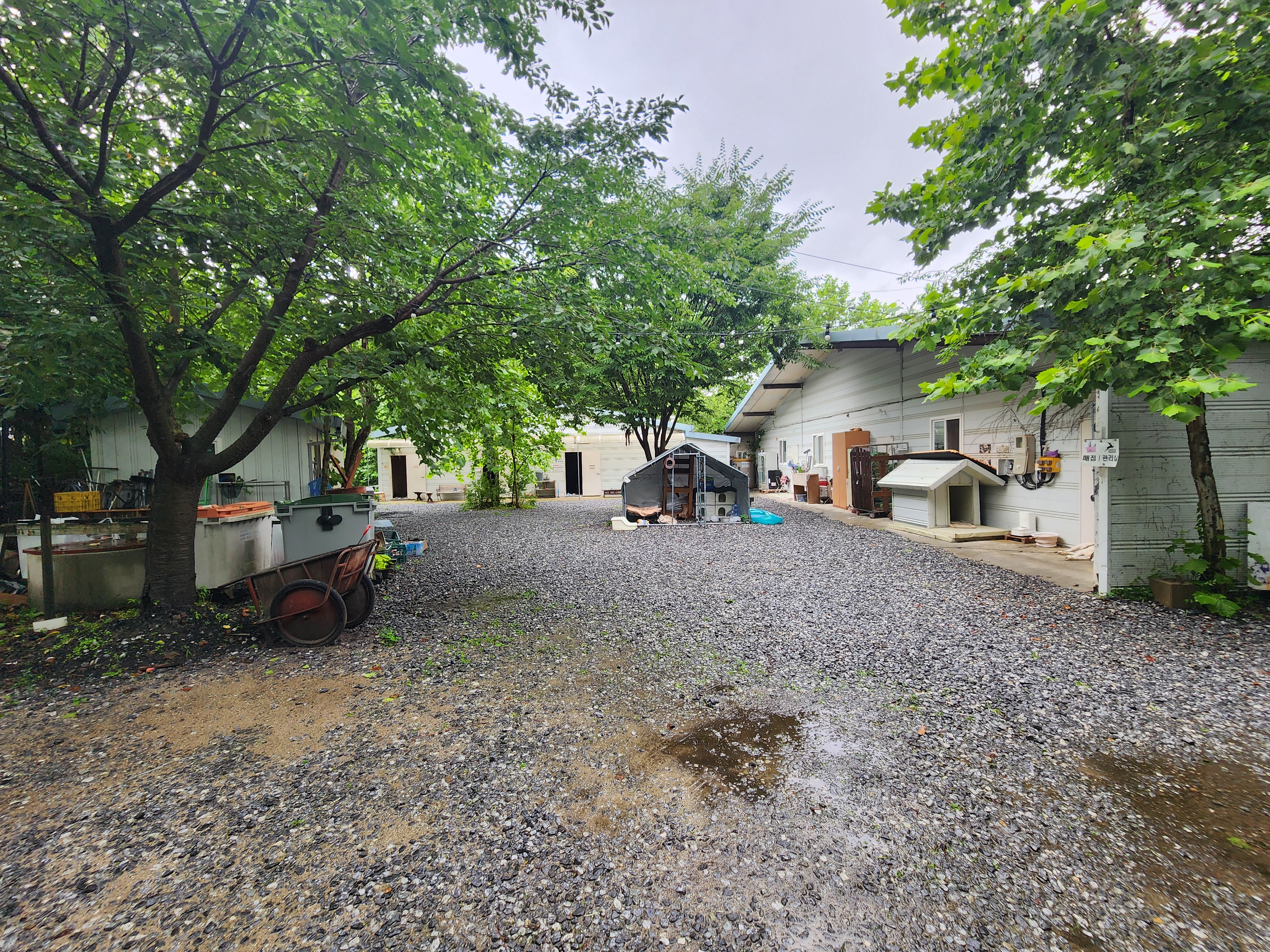 몬테비얀코 3번째 이미지