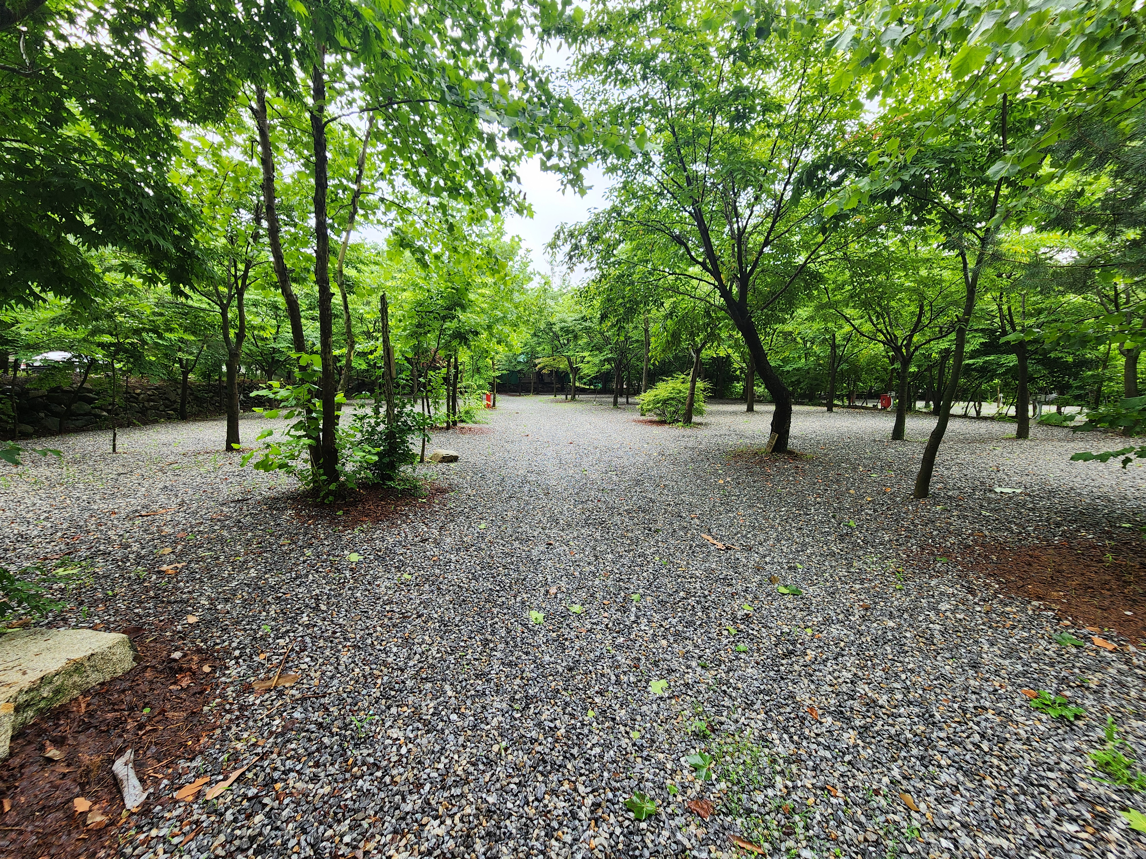 몬테비얀코 5번째 이미지