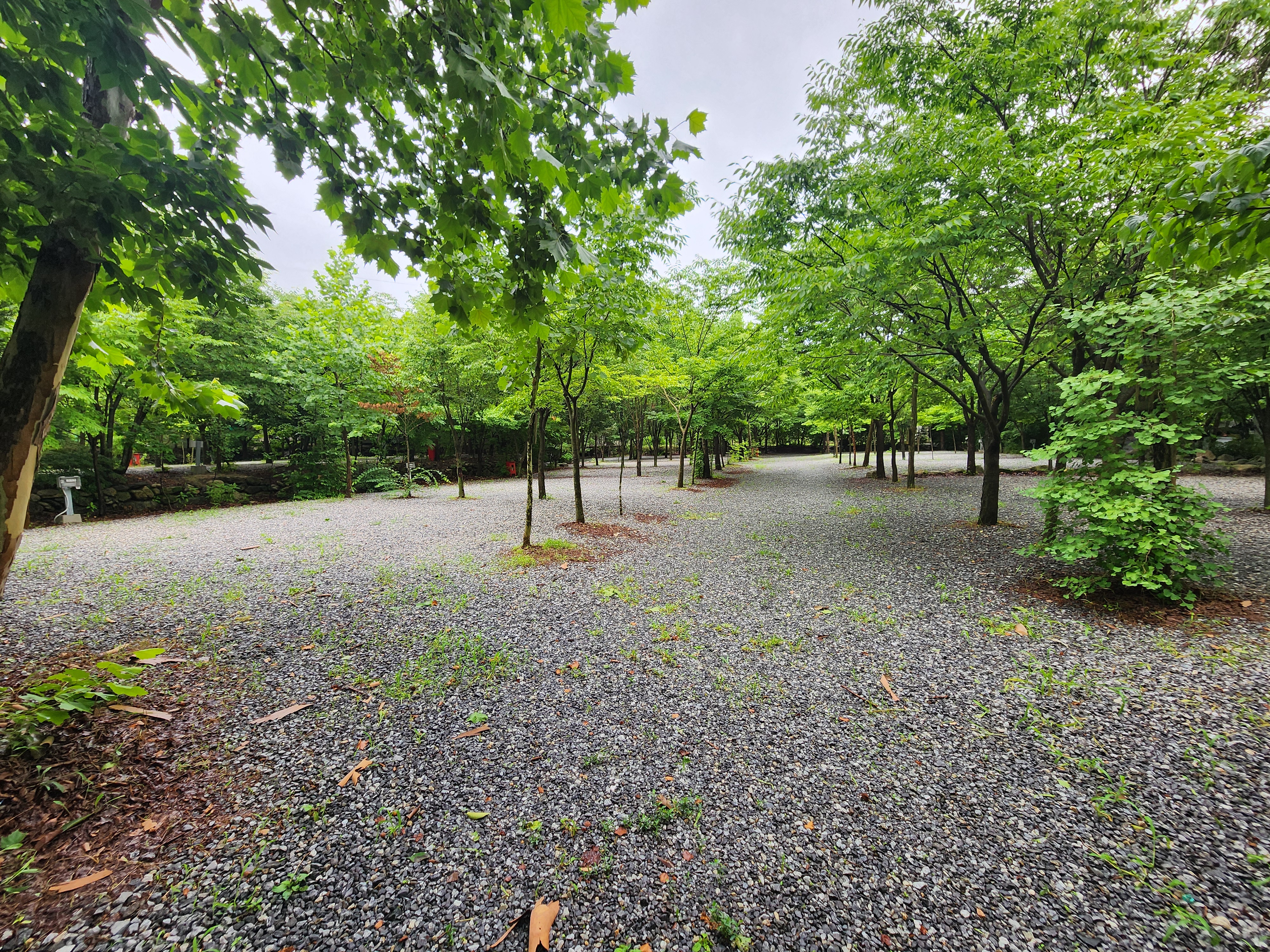 몬테비얀코 25번째 이미지