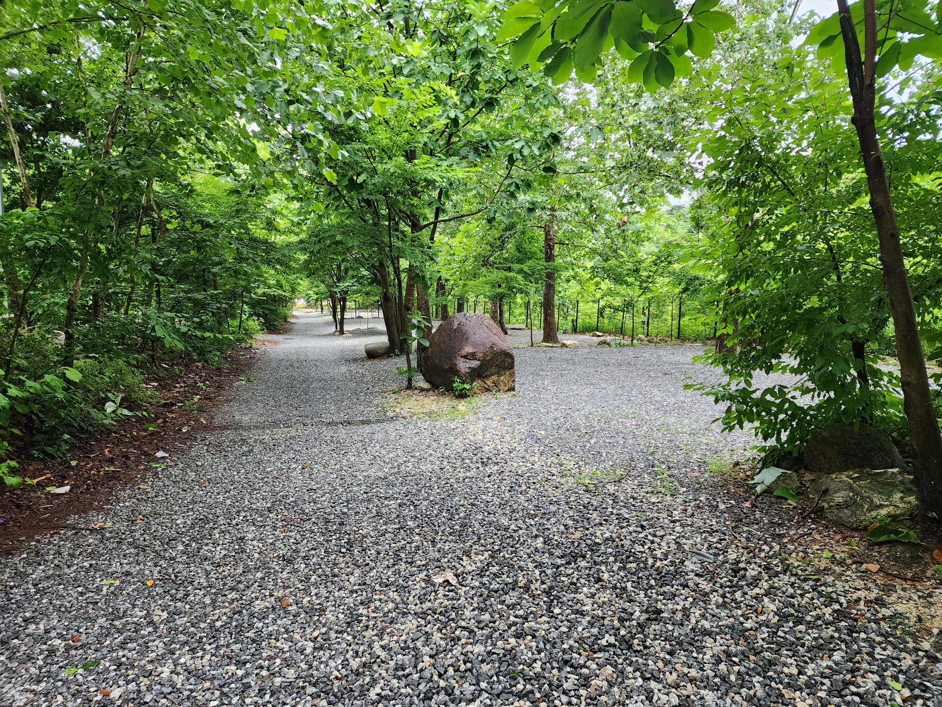 몬테비얀코 6번째 이미지