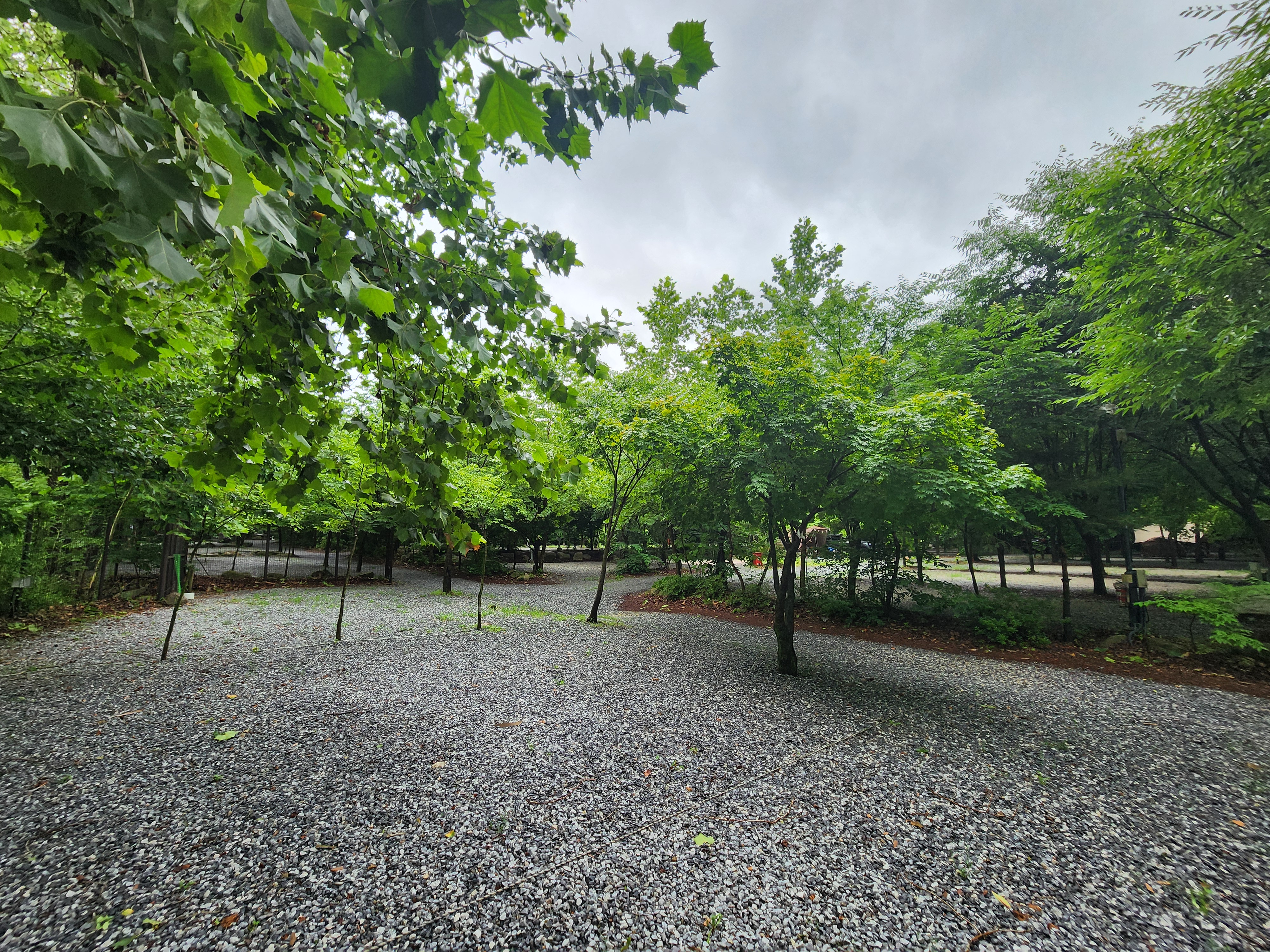 몬테비얀코 4번째 이미지