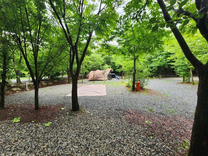 몬테비얀코 - 경기 글램핑