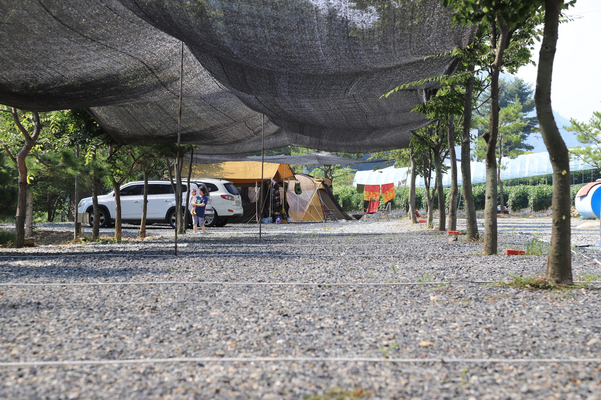 무릉도원 캠핑장 이미지