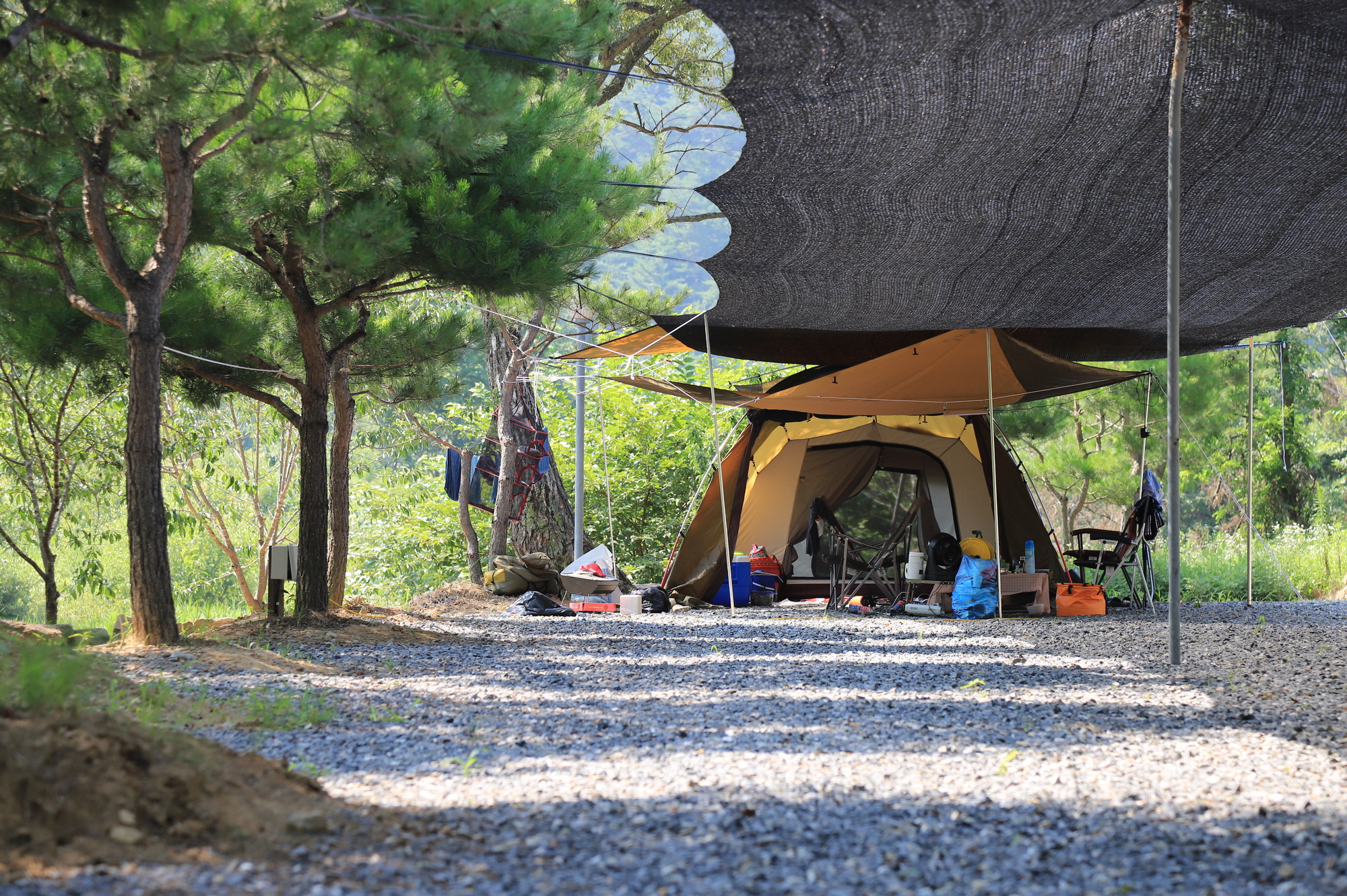 무릉도원 캠핑장 이미지