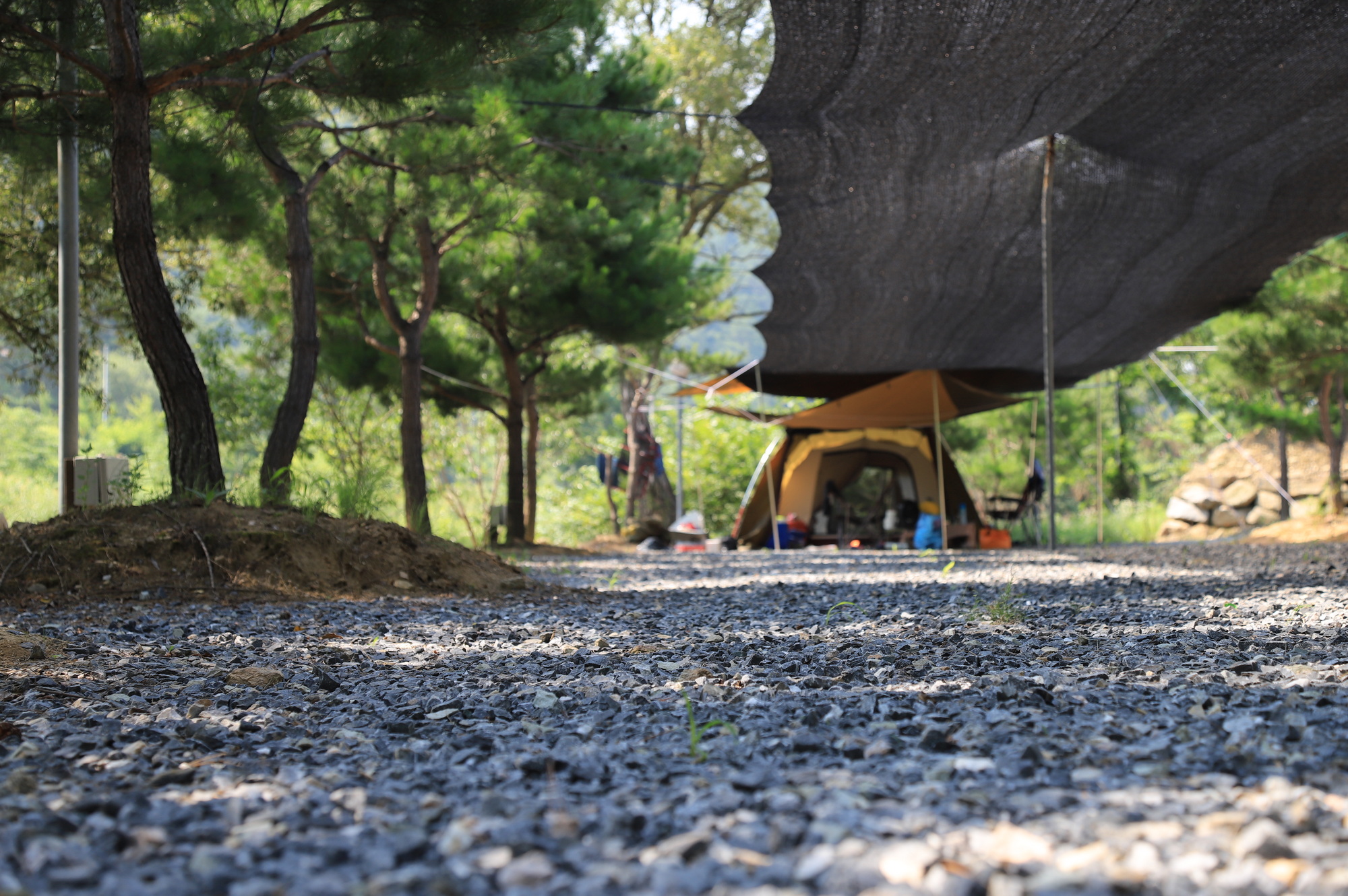 무릉도원 캠핑장 이미지