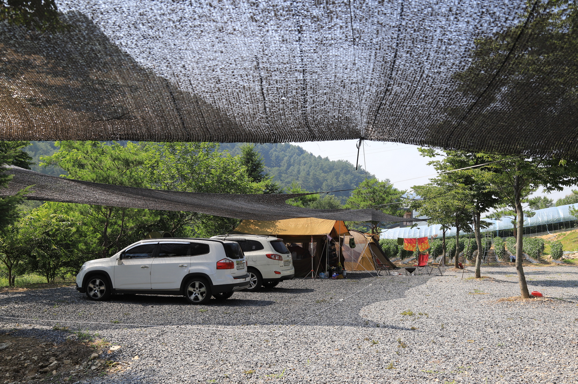 무릉도원 캠핑장 이미지