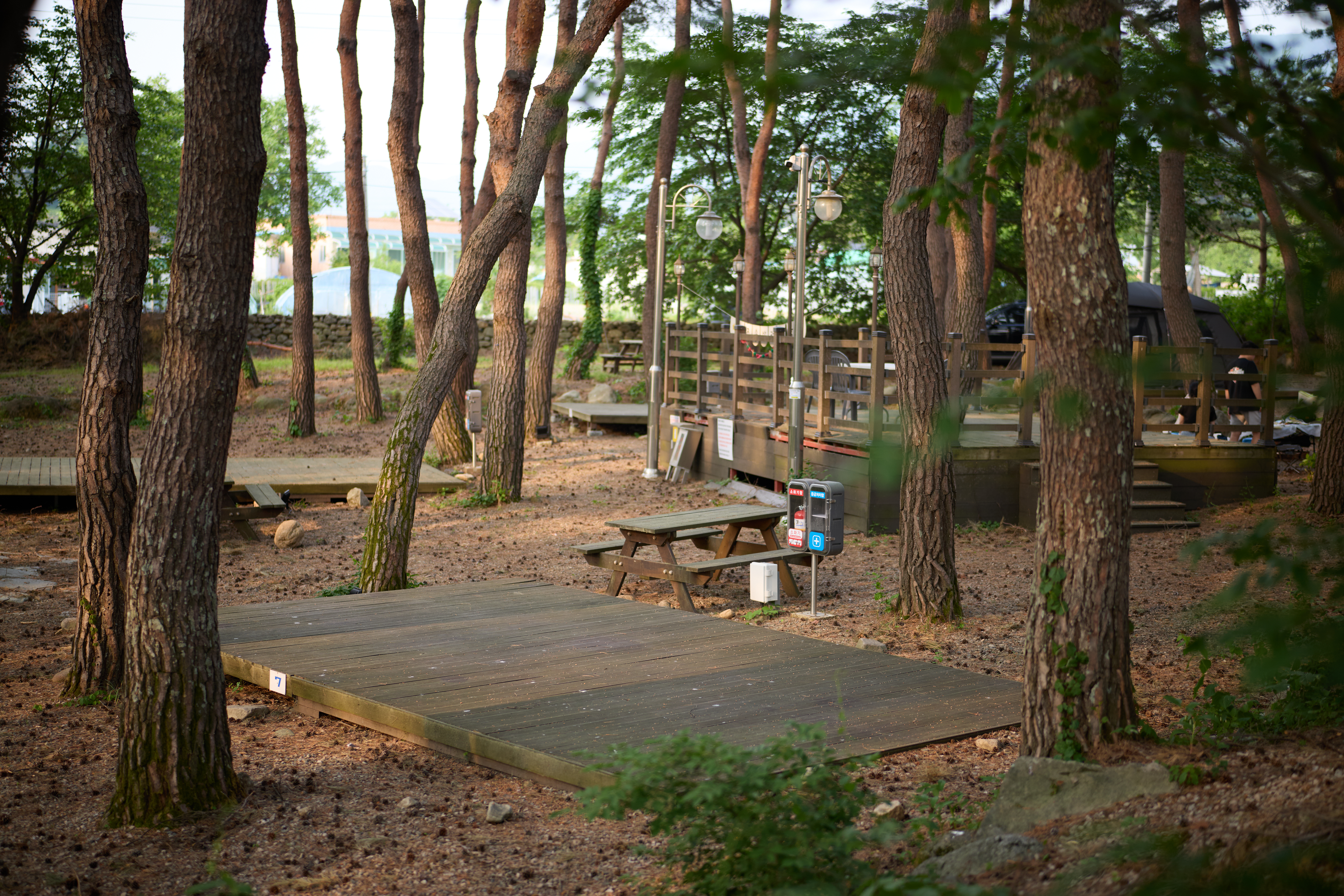 무주 솔밭야영장 7번째 이미지