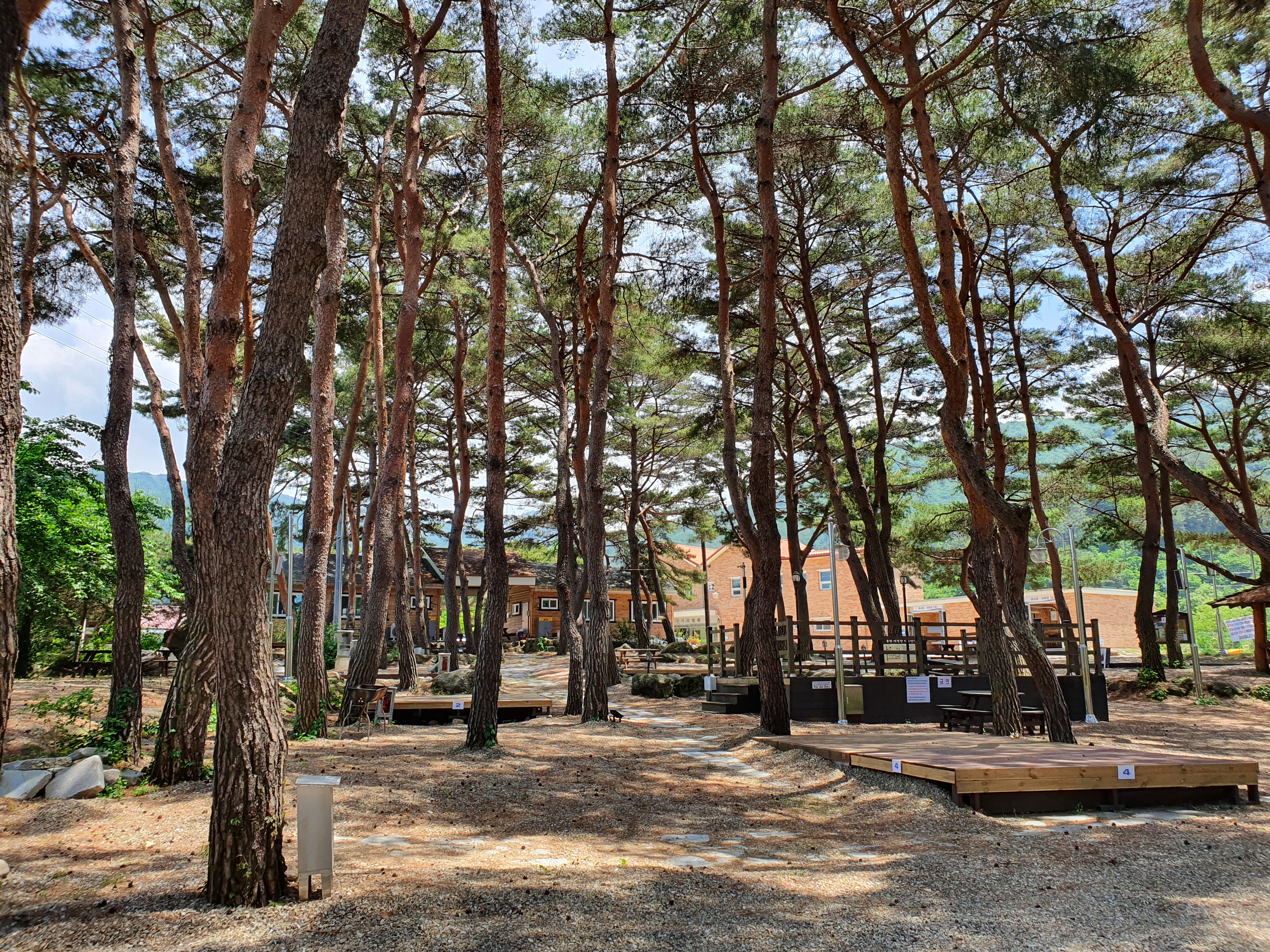 무주 솔밭야영장 4번째 이미지