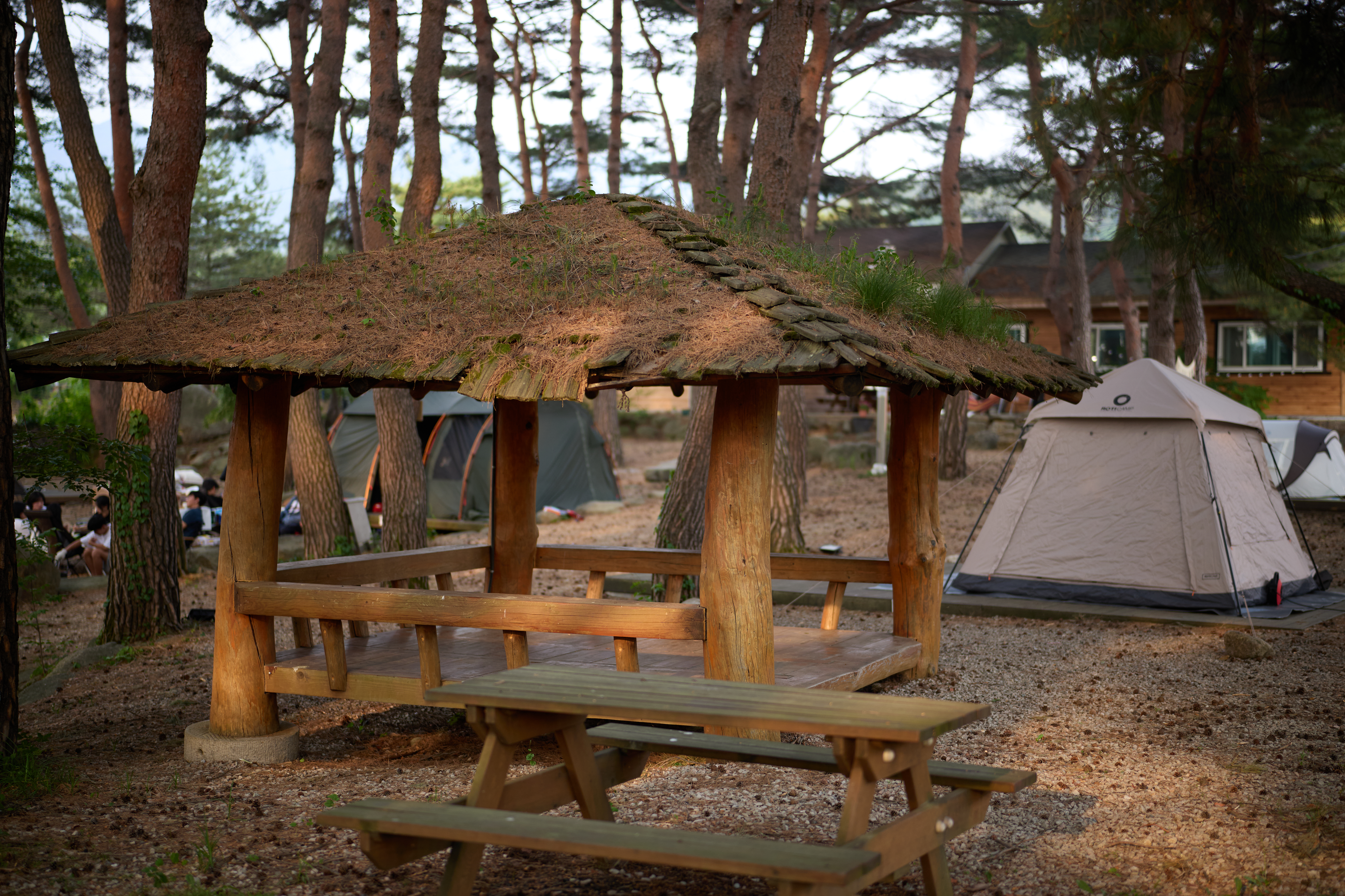 무주 솔밭야영장 8번째 이미지