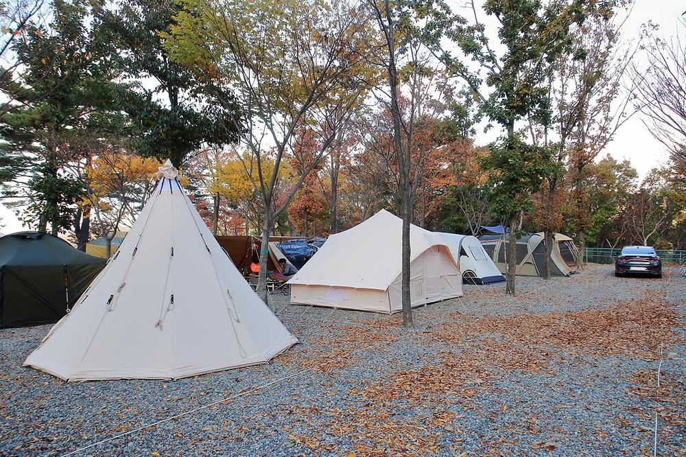 문복산 캠핑장
