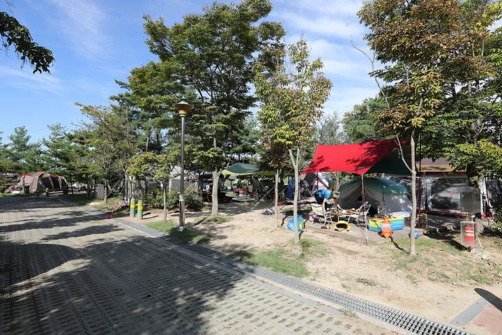 후평숲캠핑장충북
