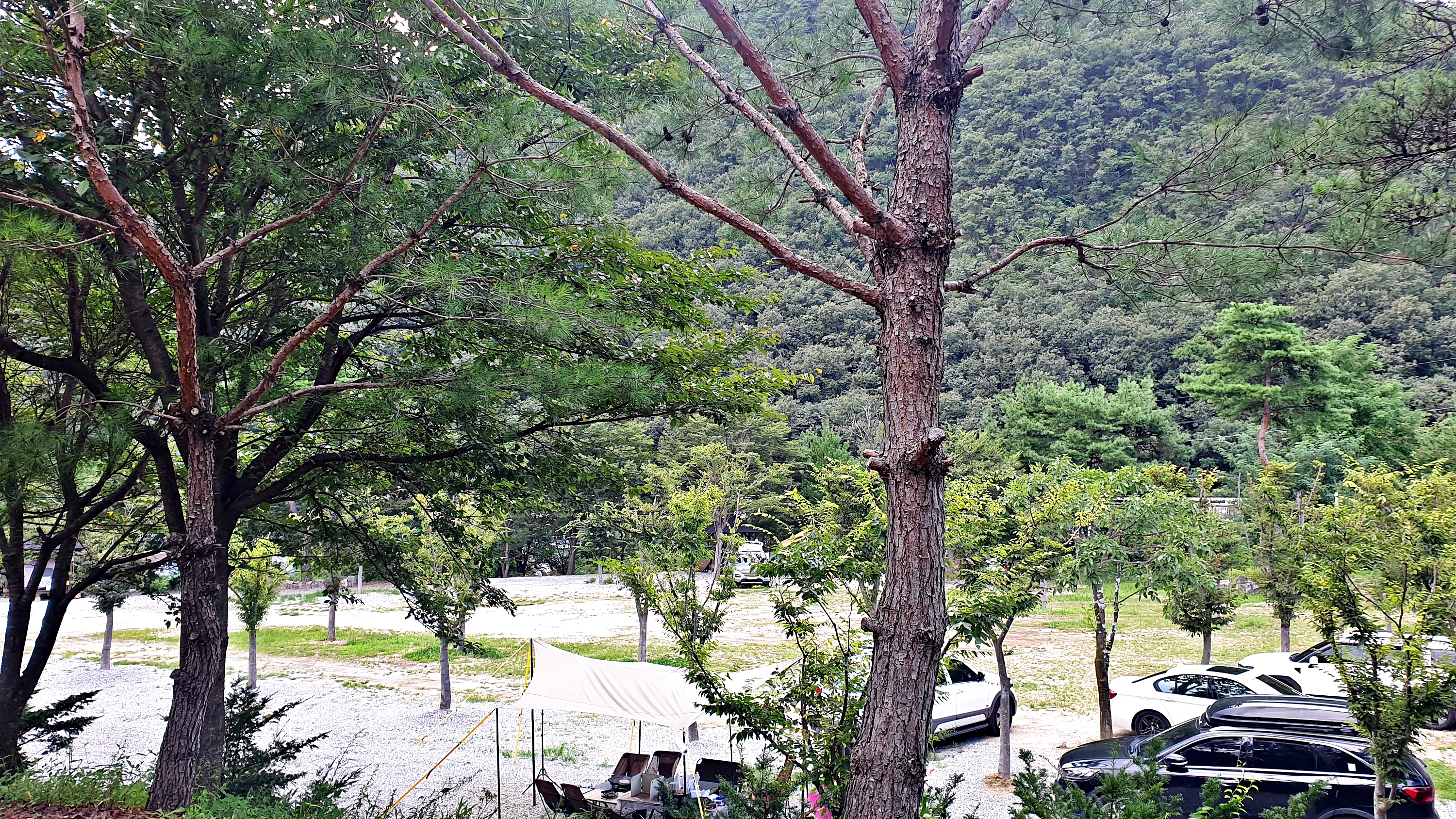 미산가족오토캠핑장 20번째 이미지