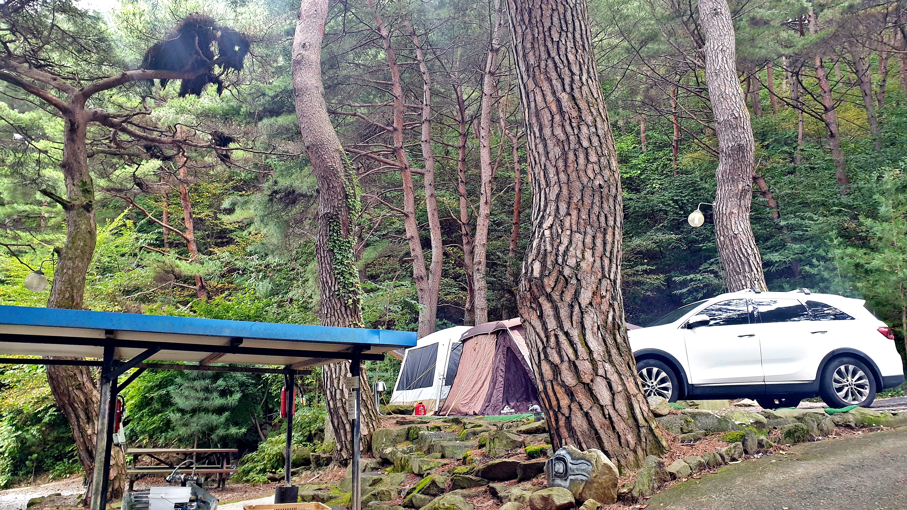 각화산캠핑장 이미지