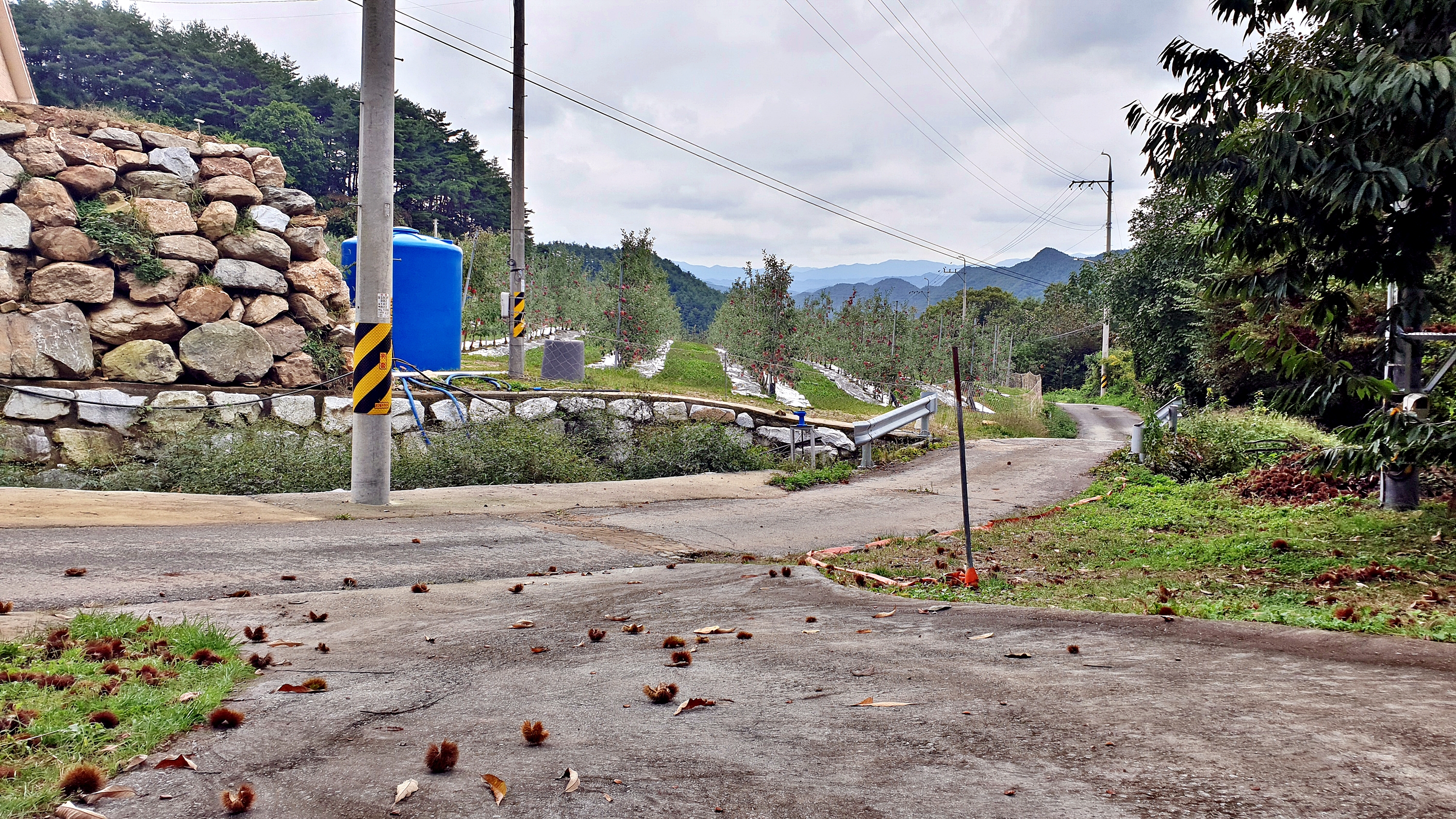 각화산캠핑장 이미지