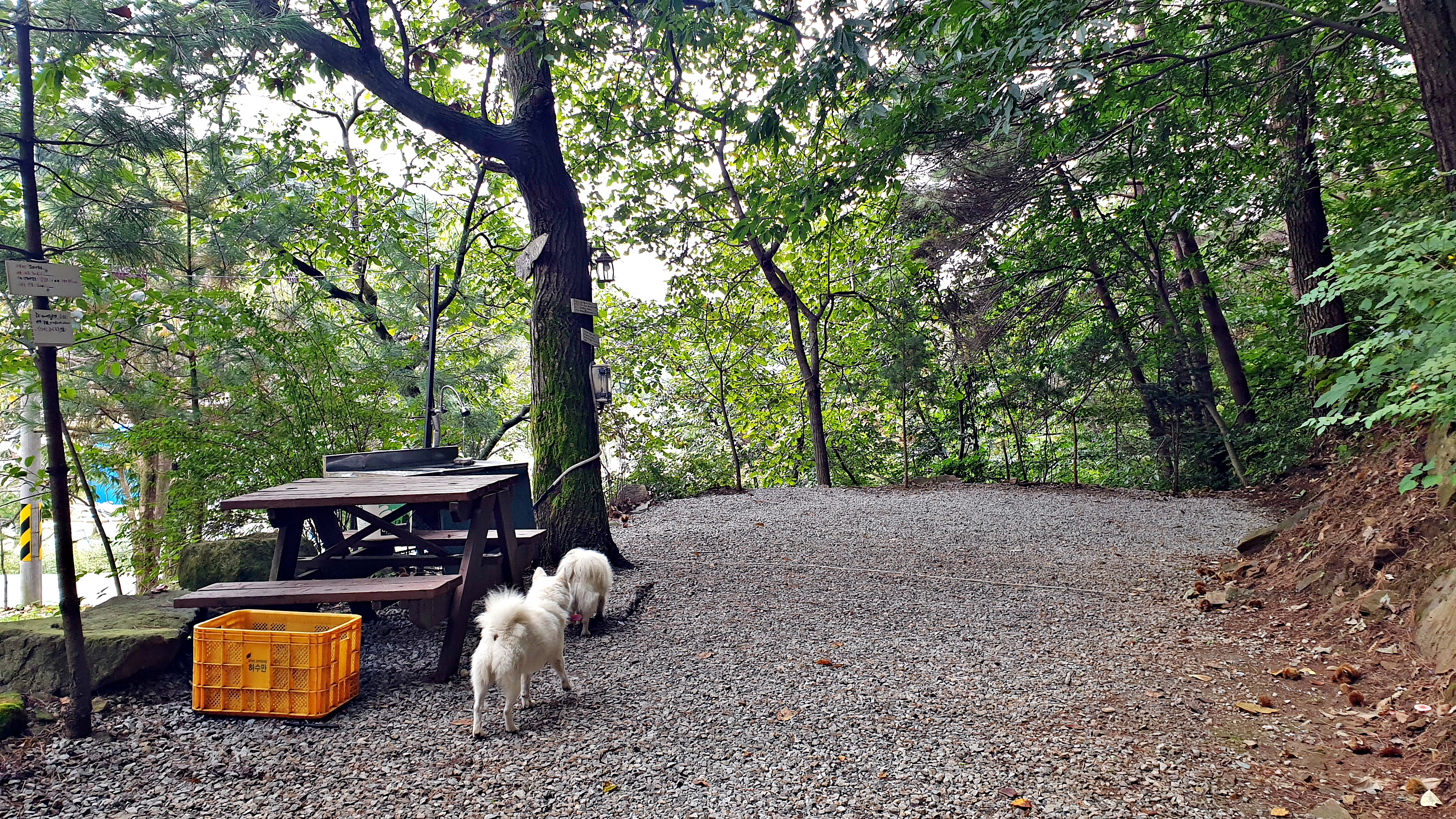 각화산캠핑장 이미지