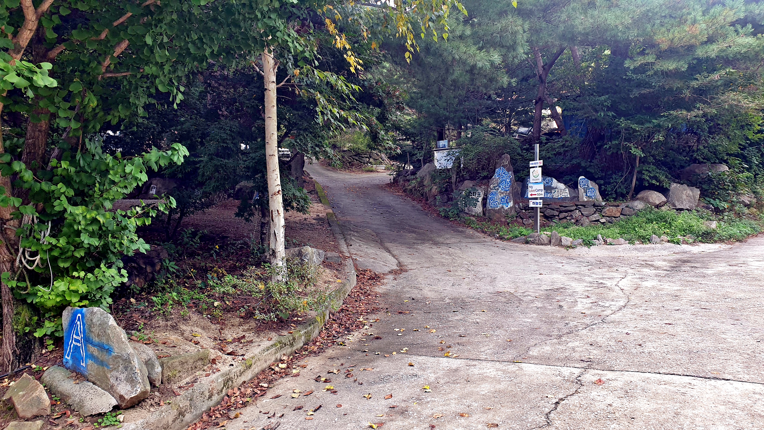 각화산캠핑장 이미지