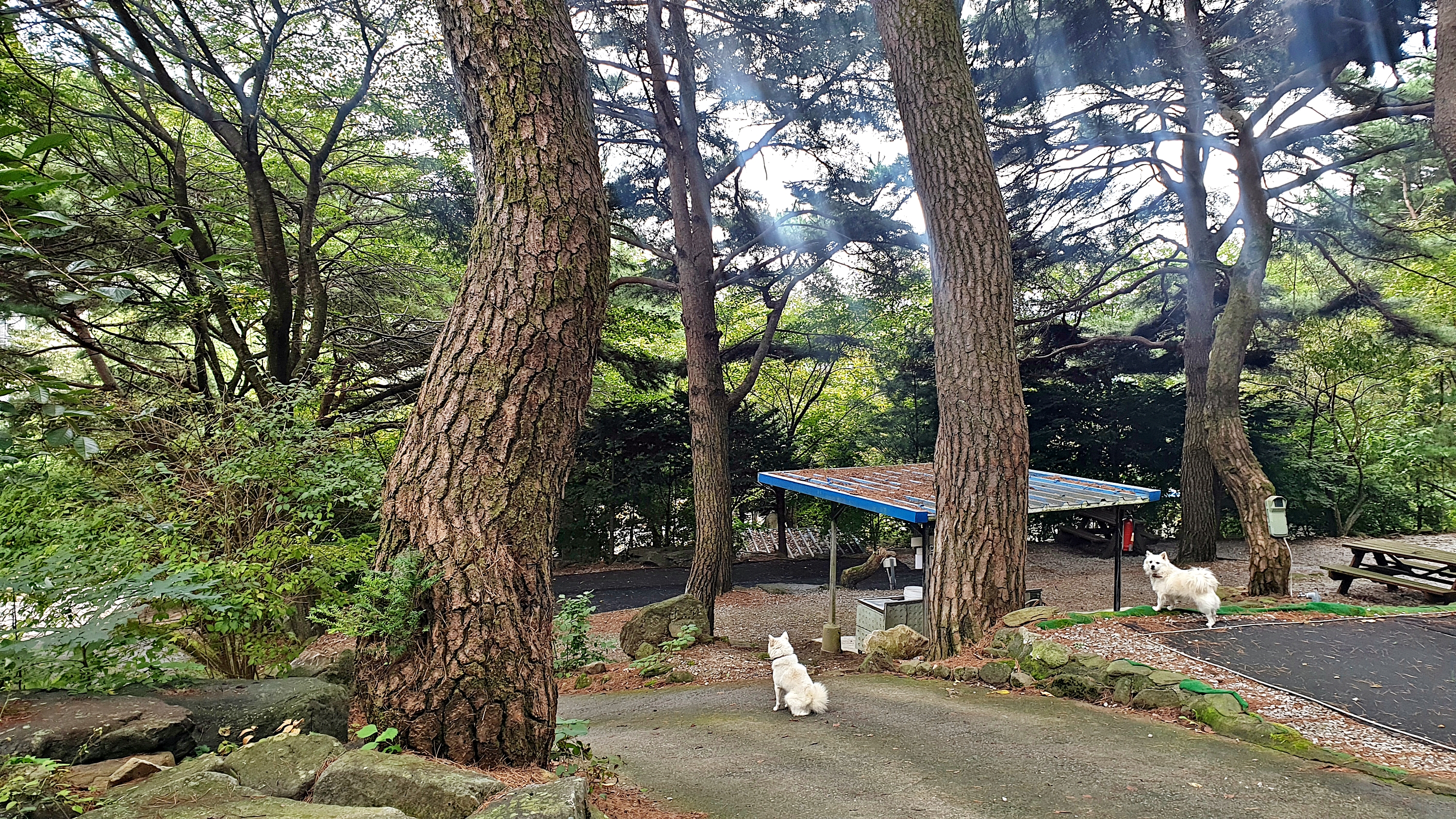 각화산캠핑장 이미지