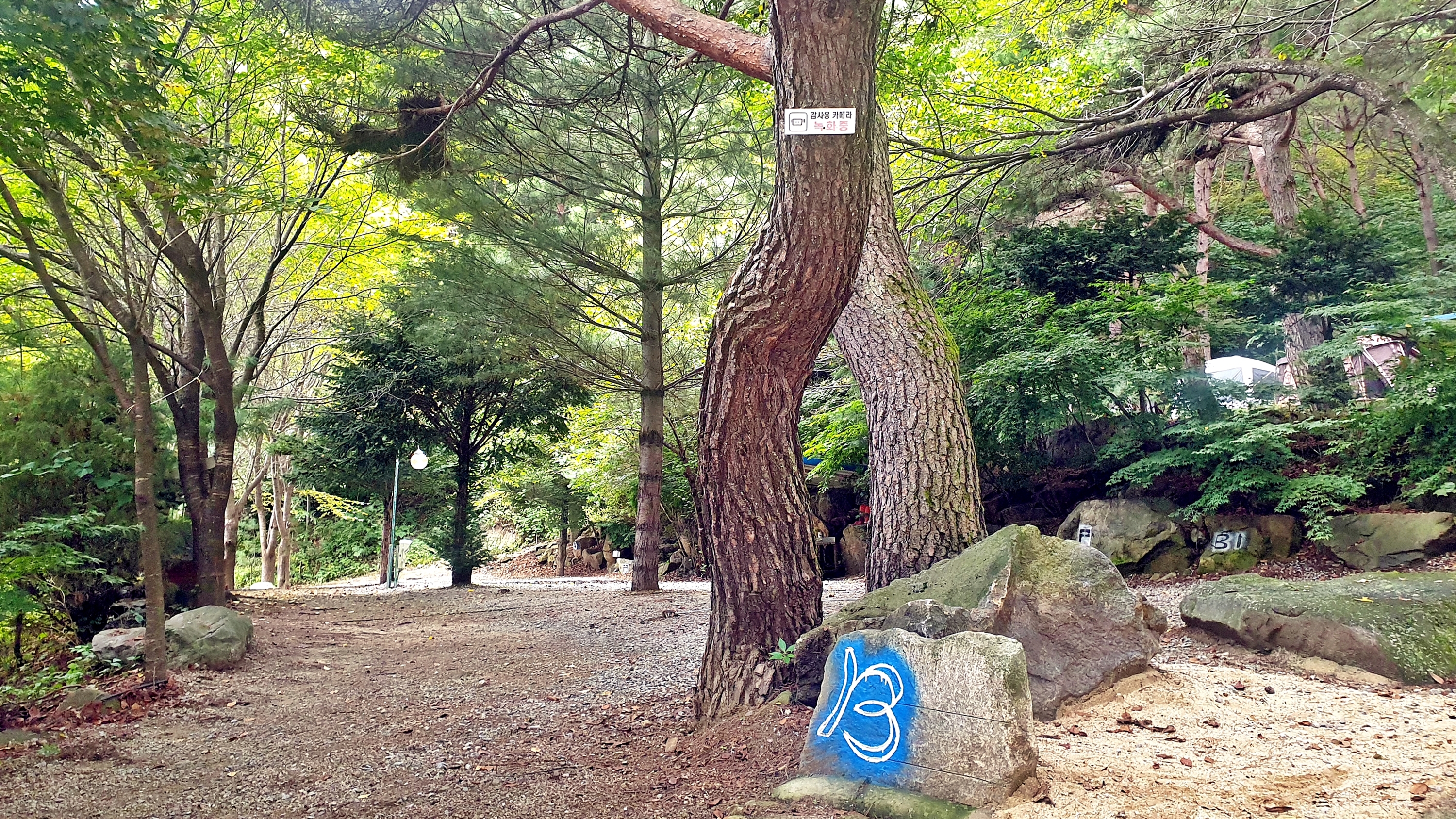 각화산캠핑장 이미지