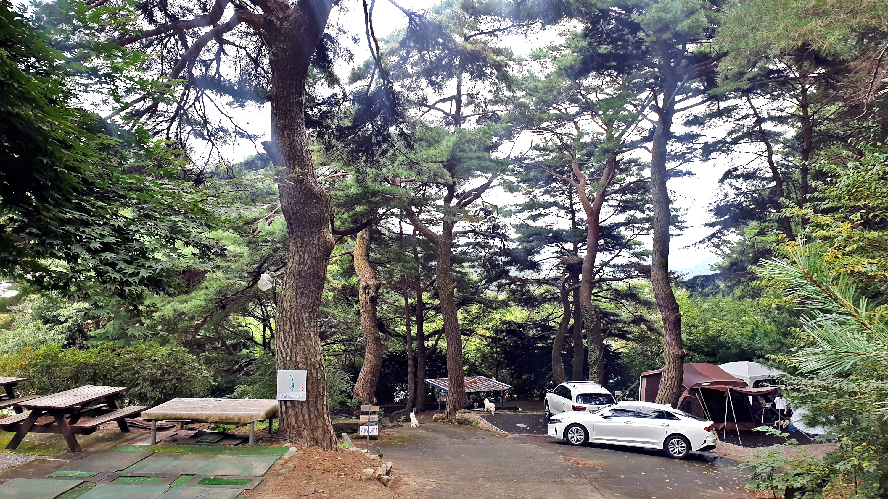 각화산캠핑장 이미지