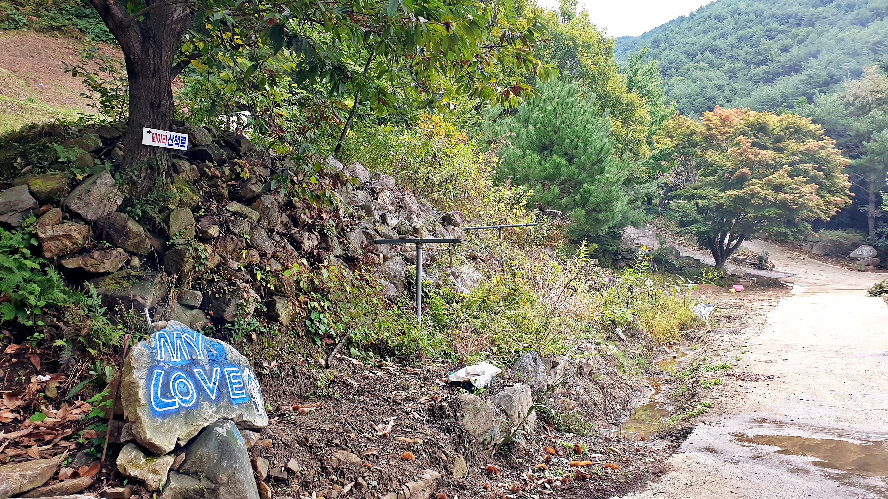 각화산캠핑장 이미지