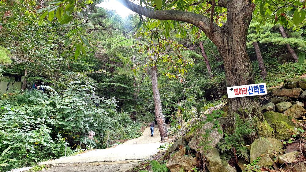 각화산캠핑장