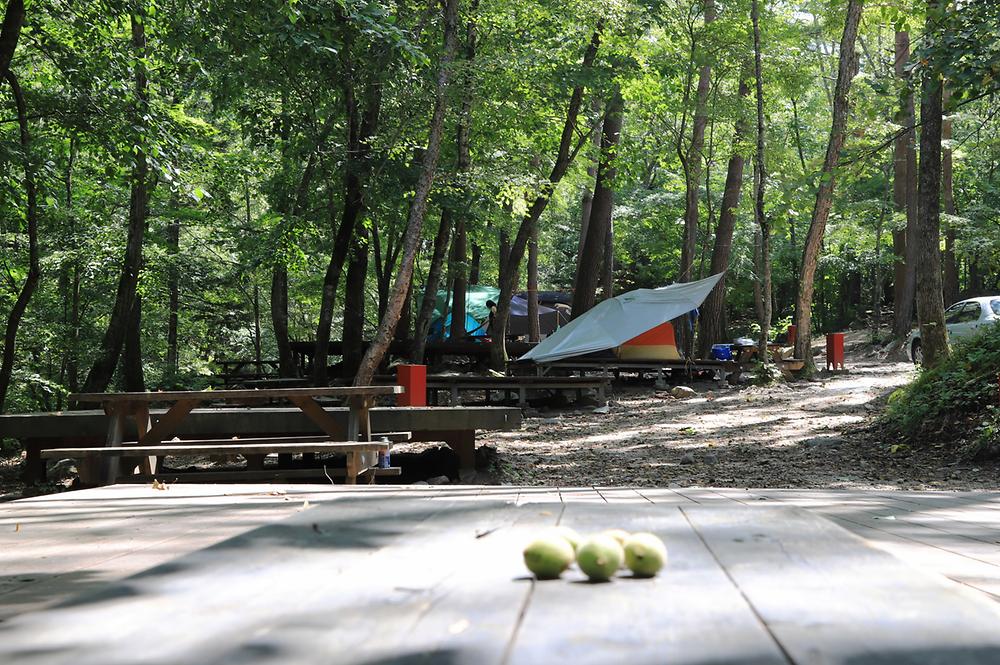 방태산 자연휴양림 캠핑장