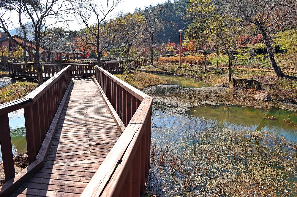 백운산 자연휴양림 자동차야영장