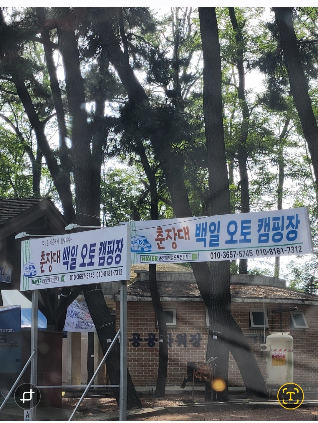 춘장대 백일 캠핑장