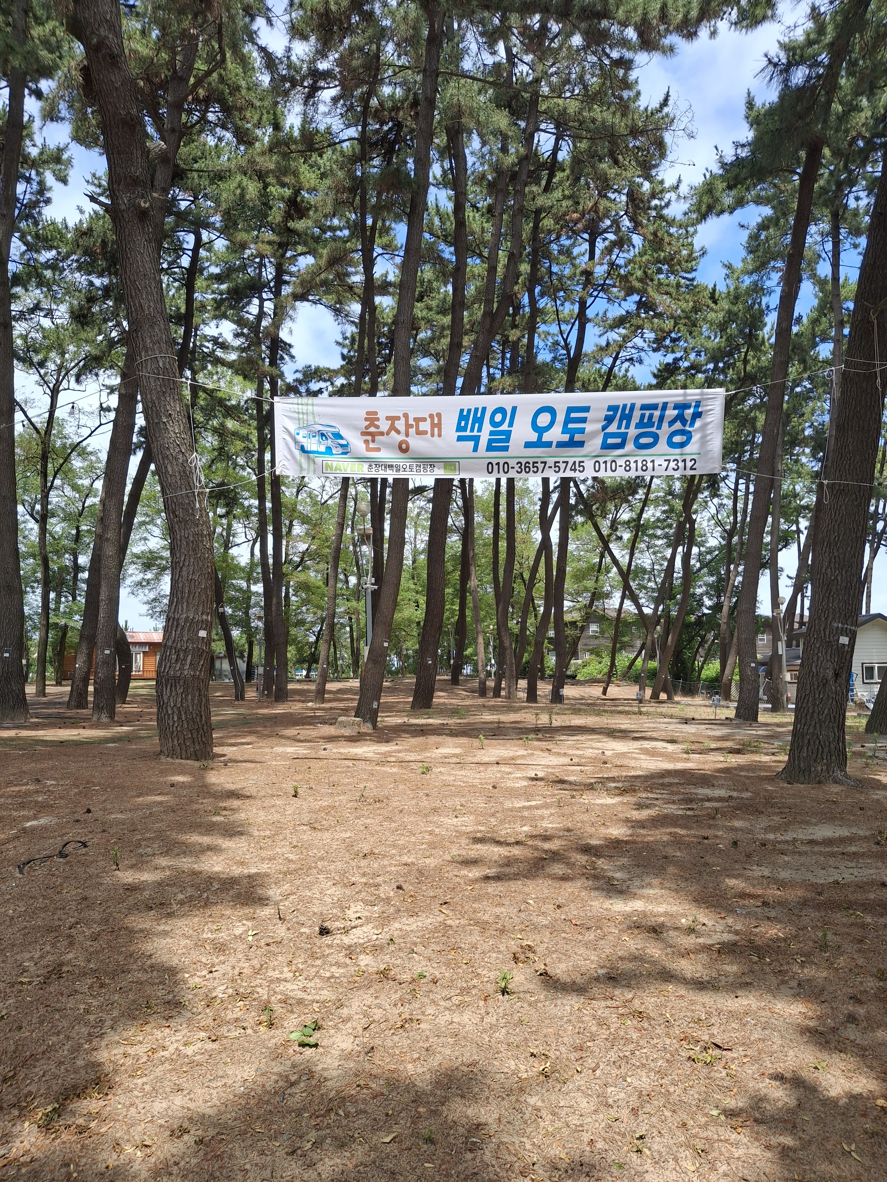 춘장대 백일 캠핑장
