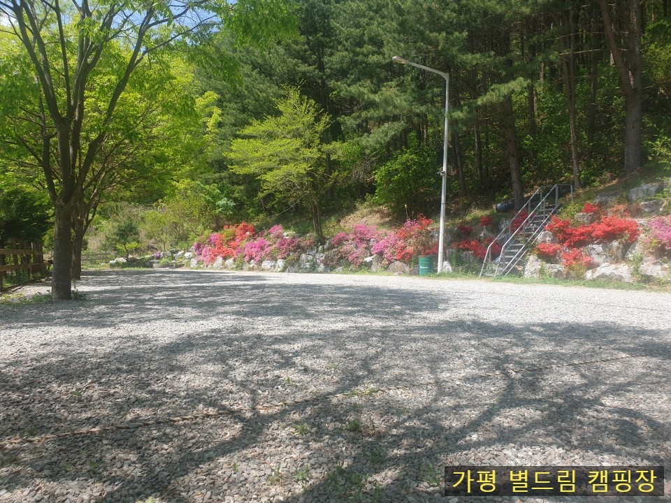 별드림캠핑장 1번째 이미지