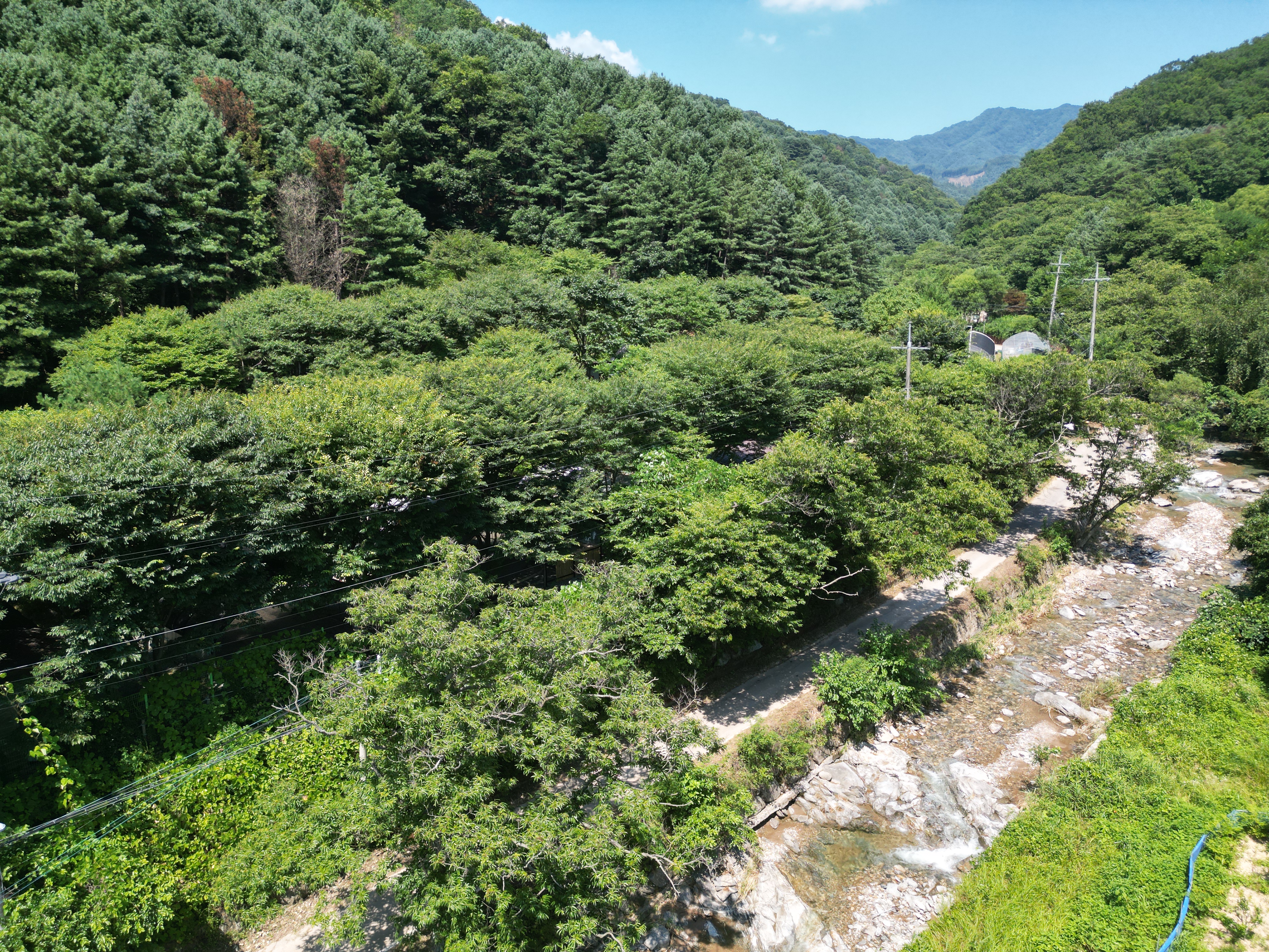 별드림캠핑장 10번째 이미지