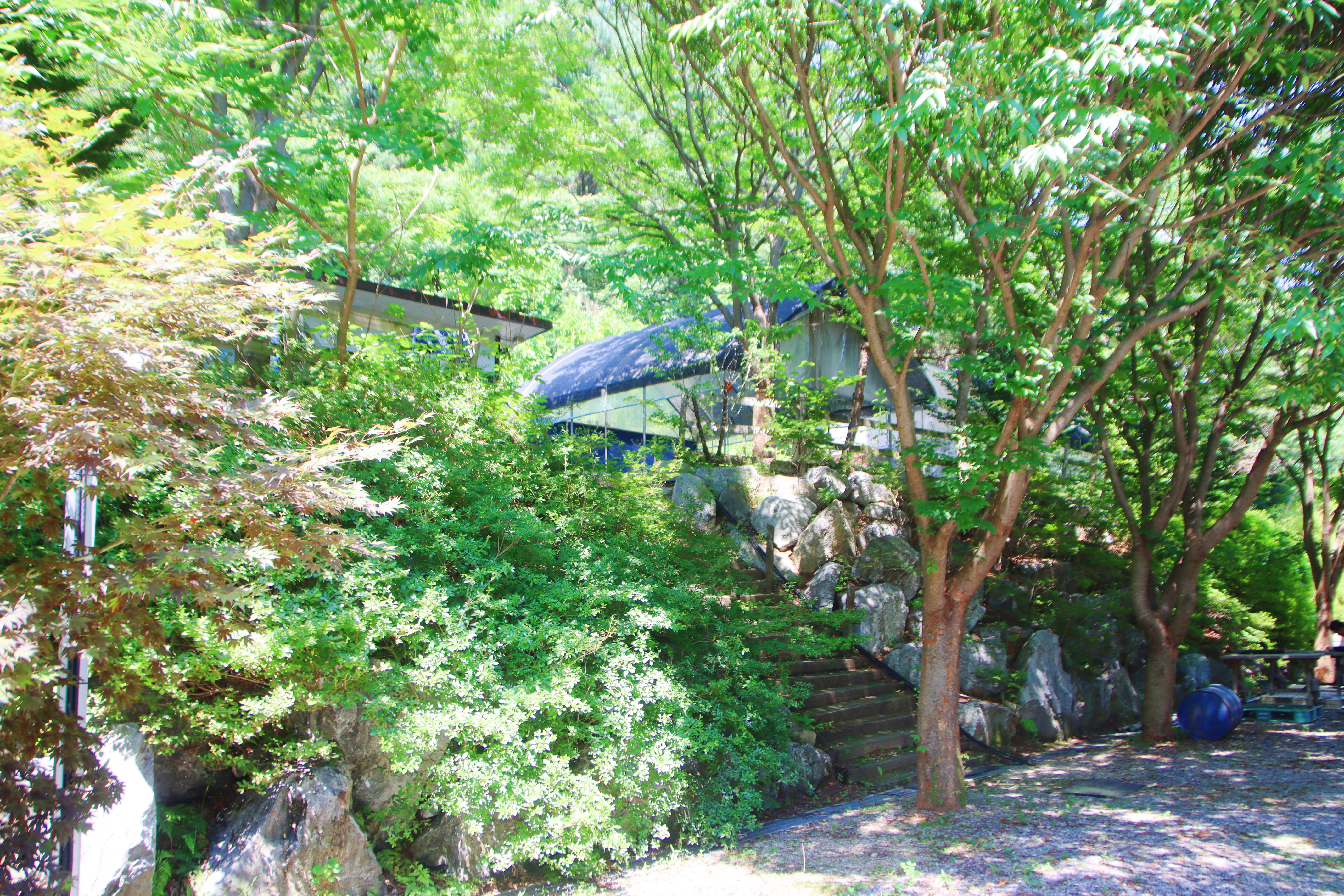 별드림캠핑장 15번째 이미지